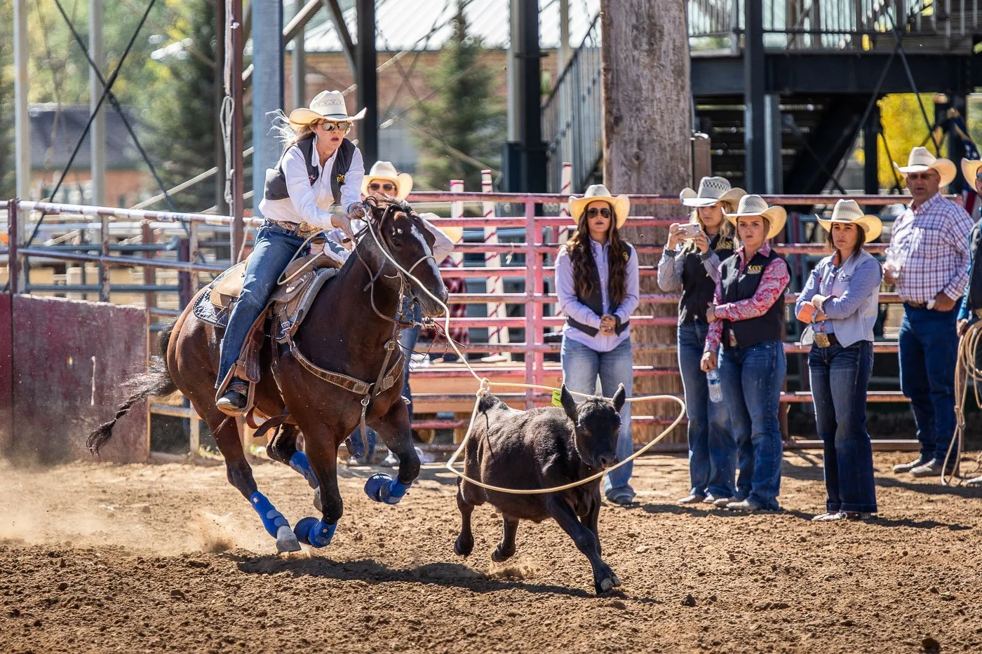 Cowgirl in the breakaway roping at the Sheridan College Rodeo in Sheridan, Wyoming.