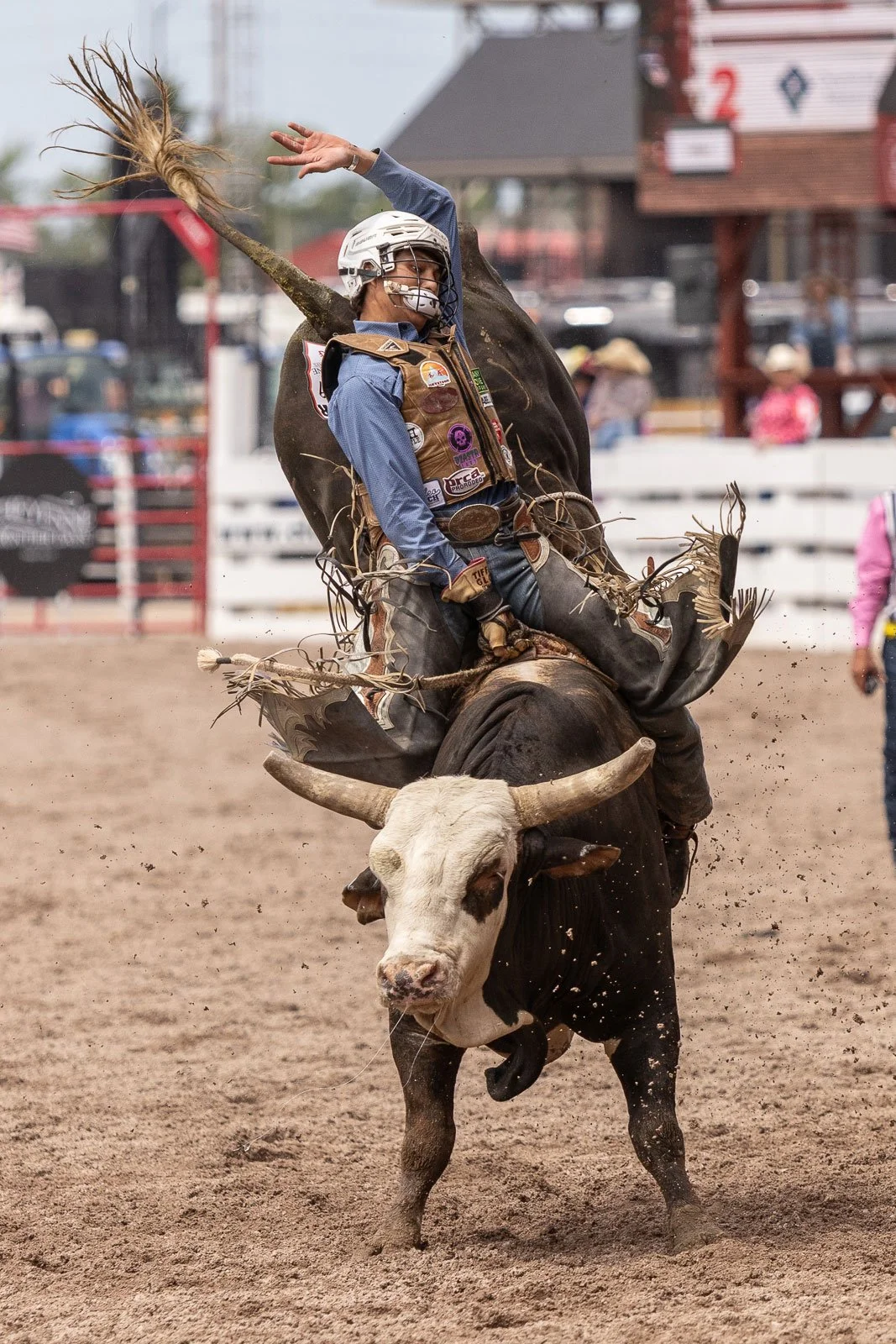 Bull rider at the Cheyenne Frontier Days Rodeo in Cheyenne, Wyoming.