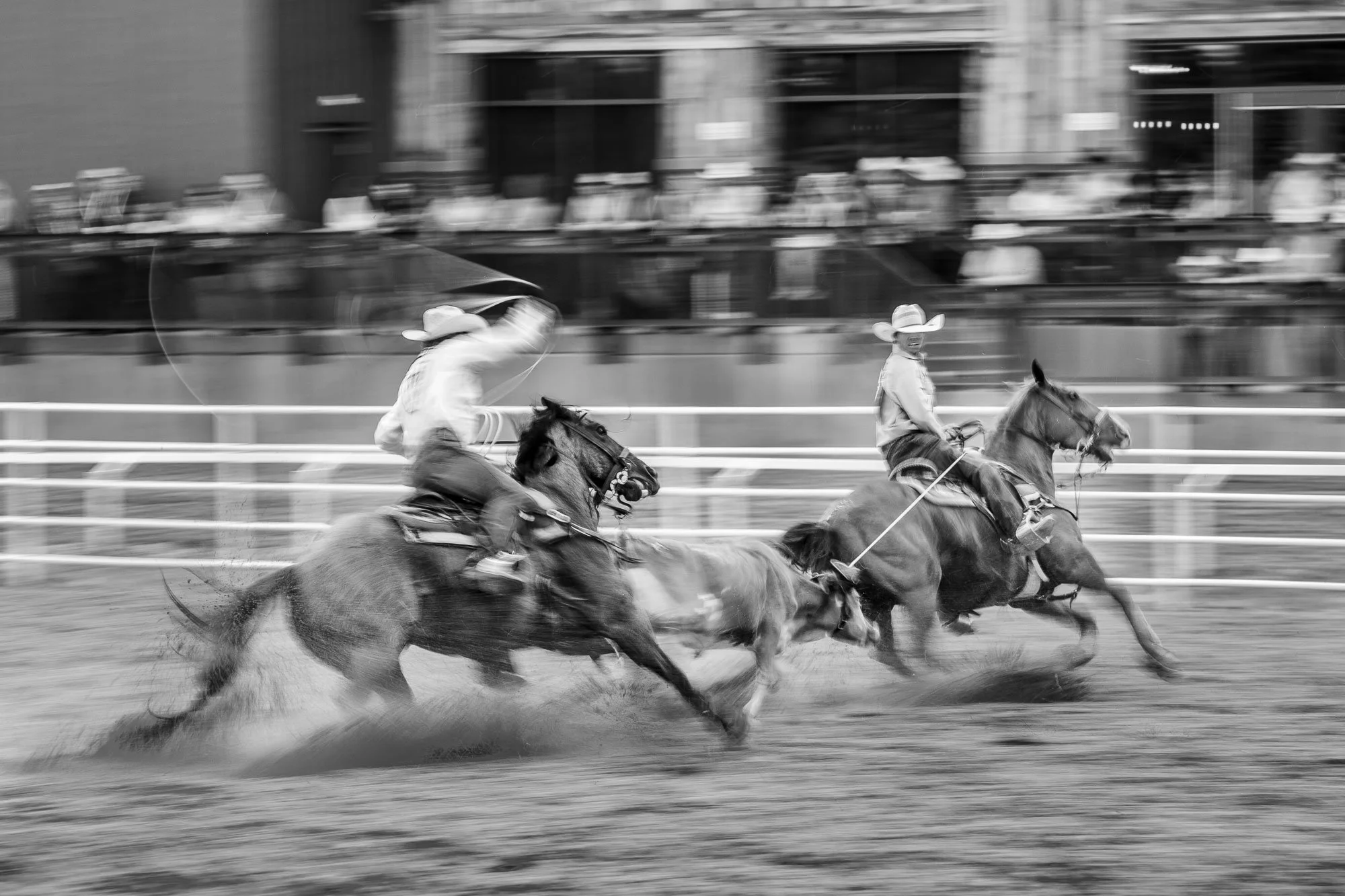 Rodeo Photographer