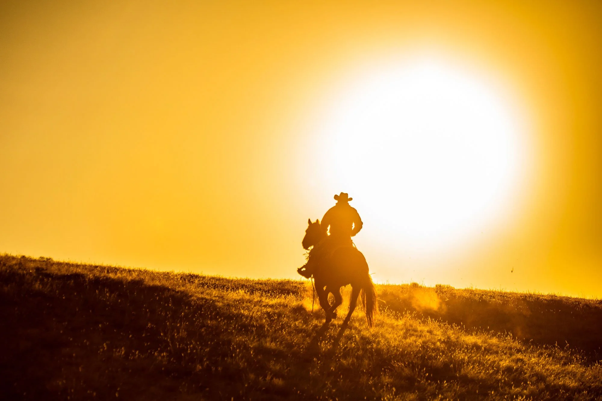 Cowboy Photographer in Laramie, Wyoming
