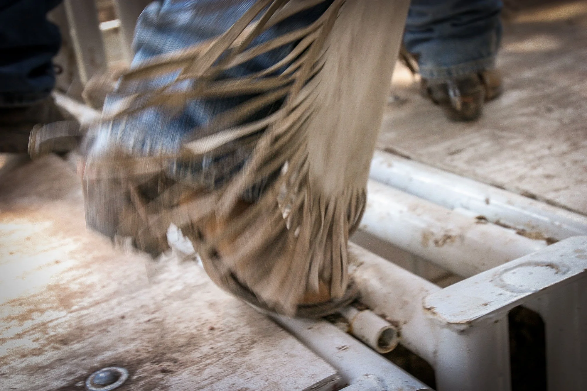 Bronc rider's chaps, boots, and spurs at Cheyenne Frontier Days Rodeo in Cheyenne, Wyoming.