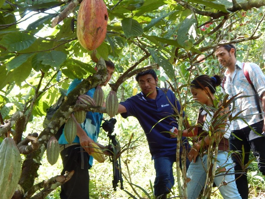 Maya Mountain Research Farm--My Permaculture Adventure in Belize