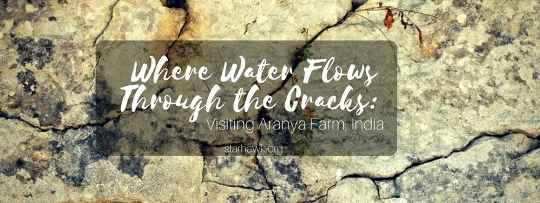 Where Water Flows Through the Cracks: A Visit to Aranya Farm, India