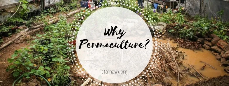 Why Permaculture?