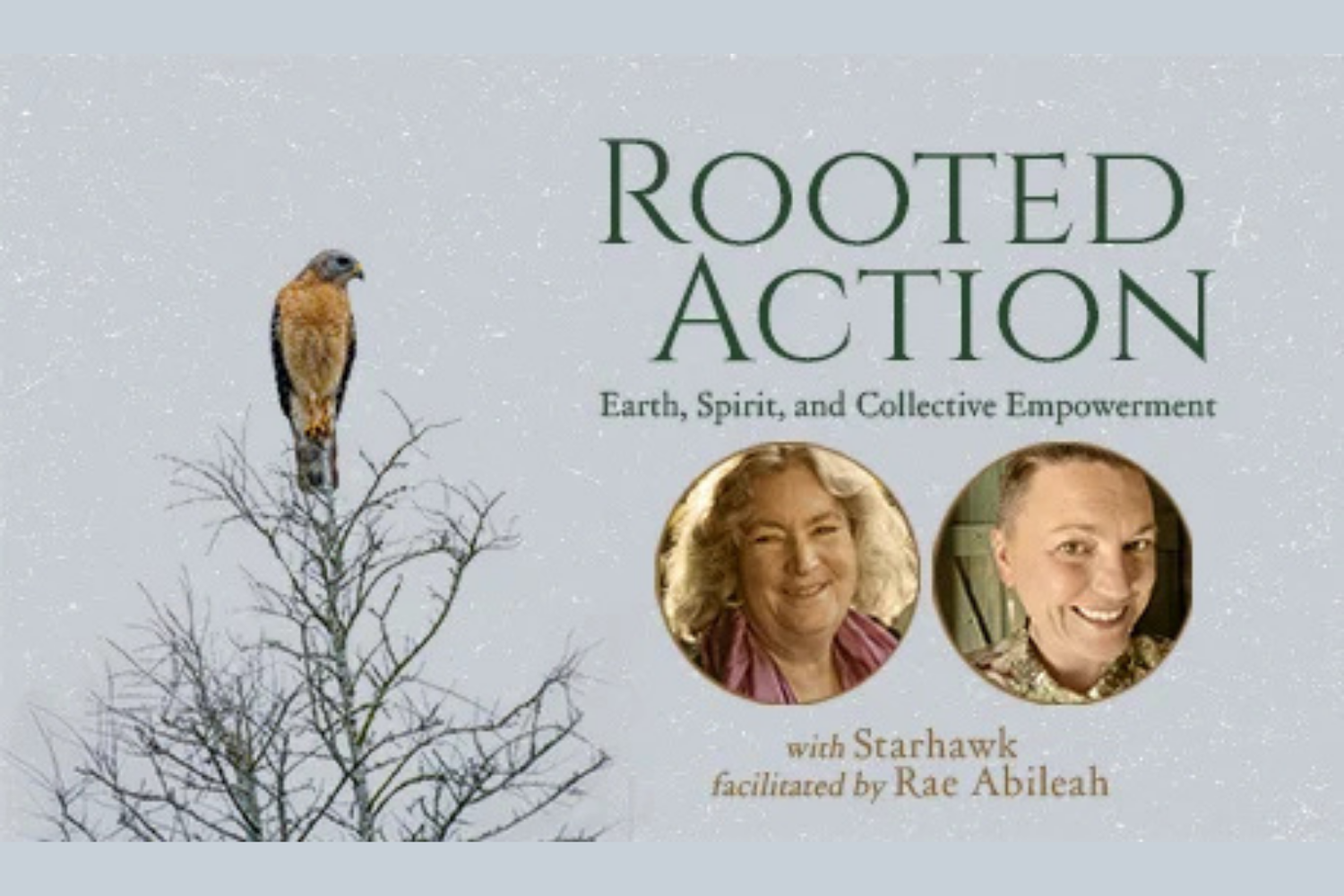 Rooted Action