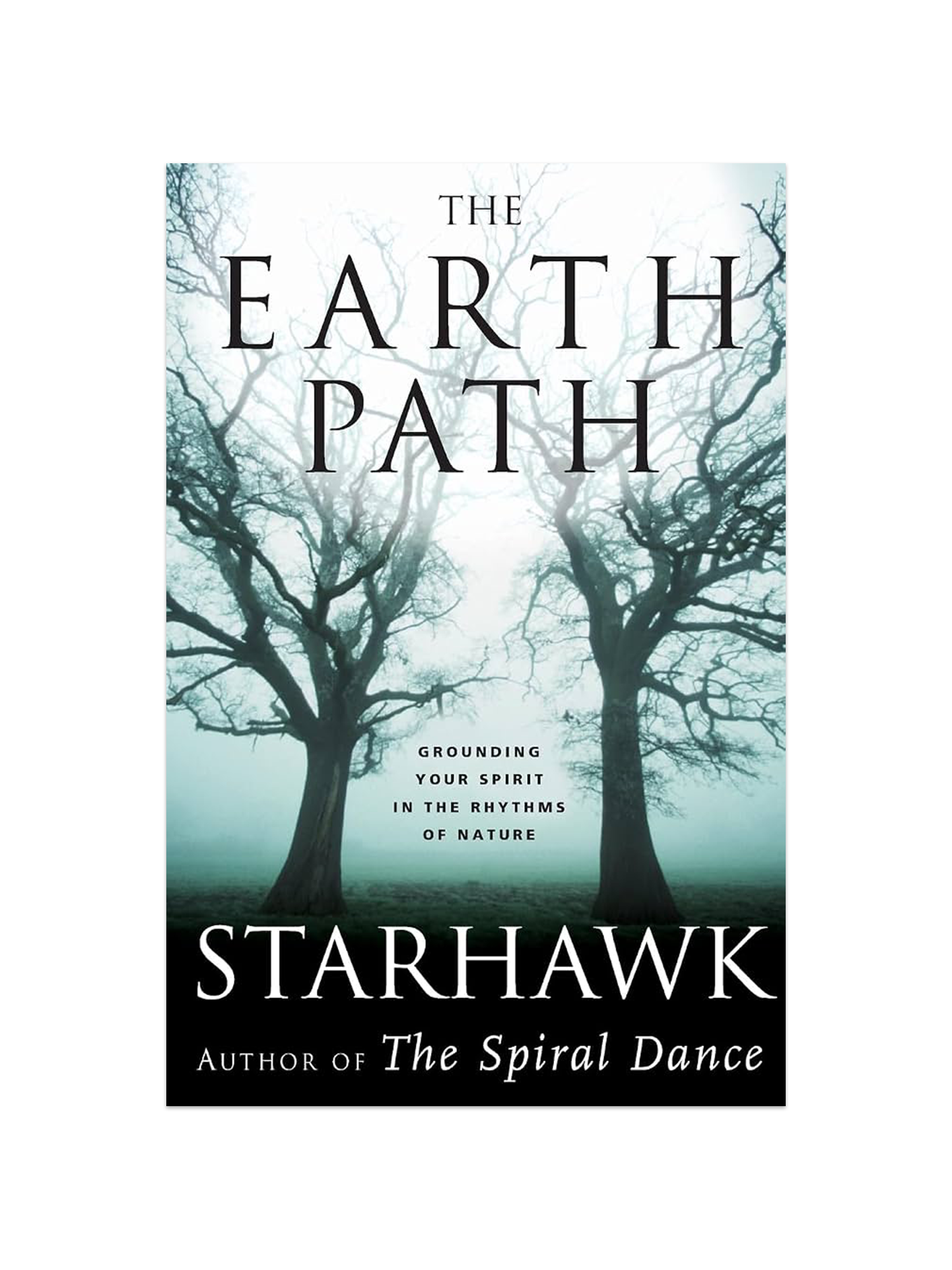 the earth path book cover