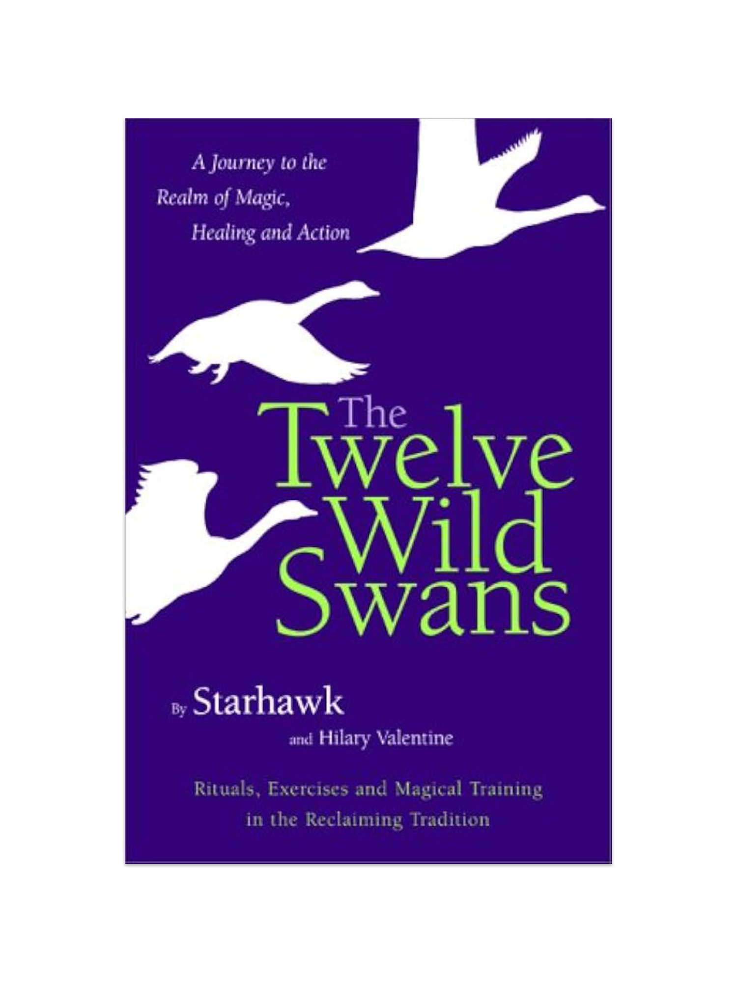 The Twelve Wild Swans: A Journey to the Realm of Magic, Healing, and Action book cover