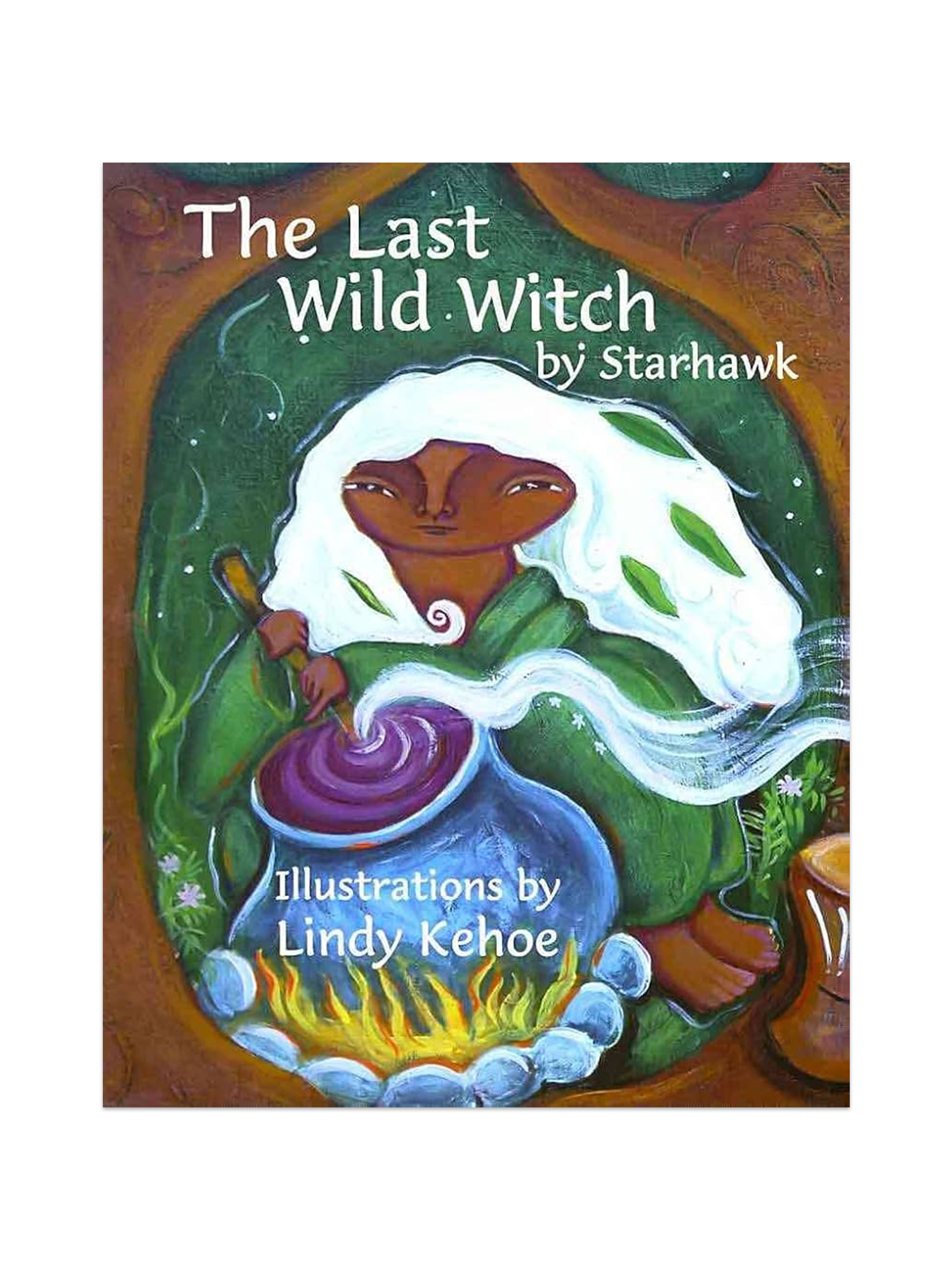 The Last Wild Witch book cover
