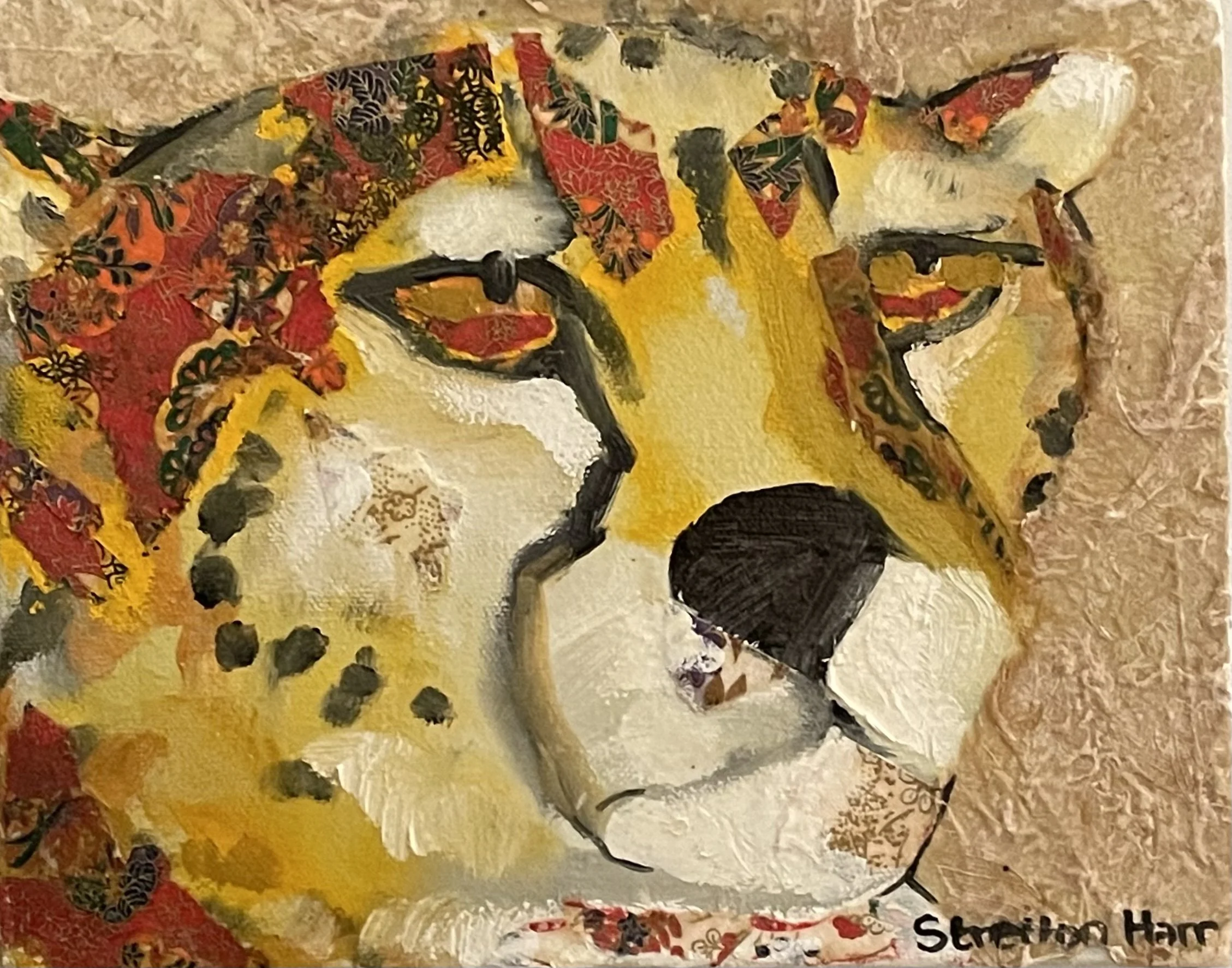 Cheetah | Oil on Canvas | 20in. x 30in. | $2400