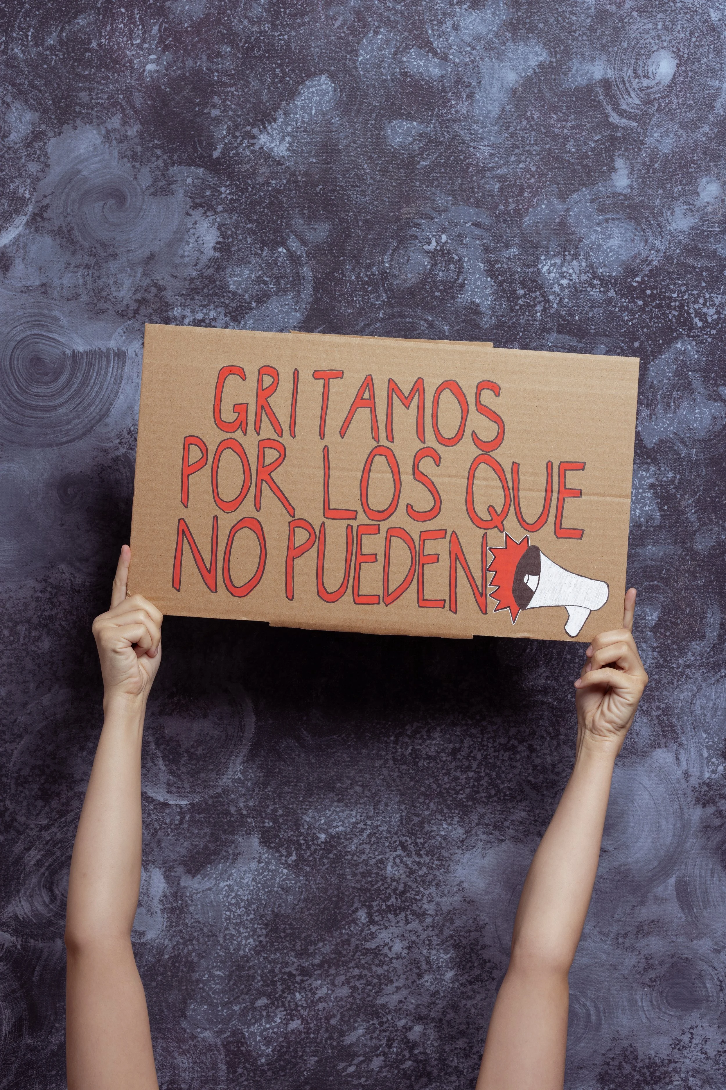 La Fuerte (The Fight)