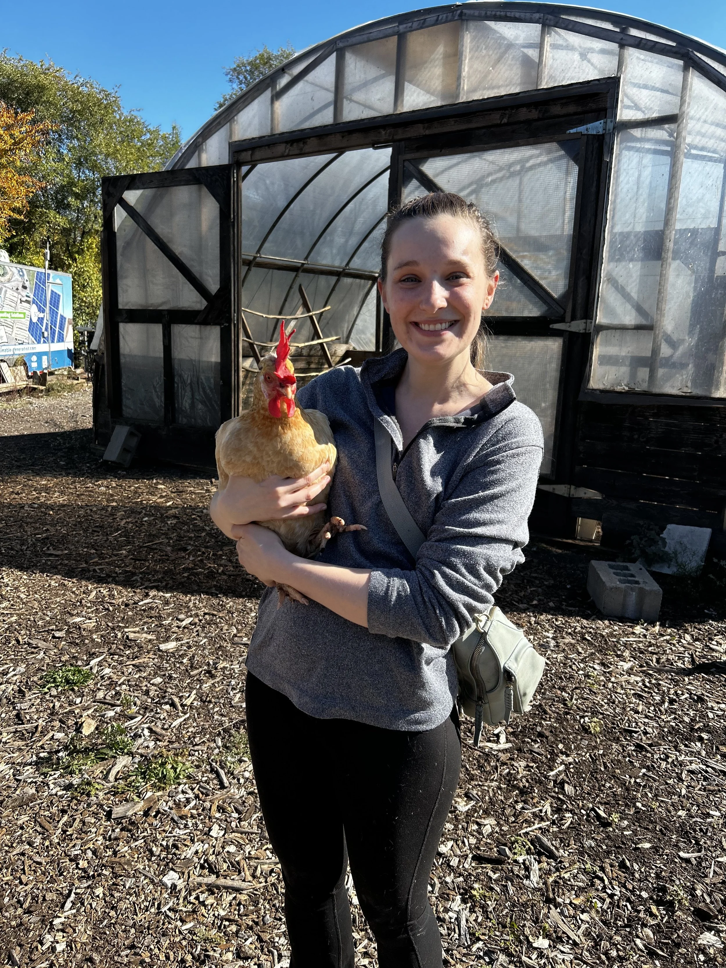A young woman smiling and holding a chicken outside a greenhouse. She is wearing a gray jacket and black pants, with a small bag over her shoulder. The background shows a greenhouse, trees, and a clear blue sky.