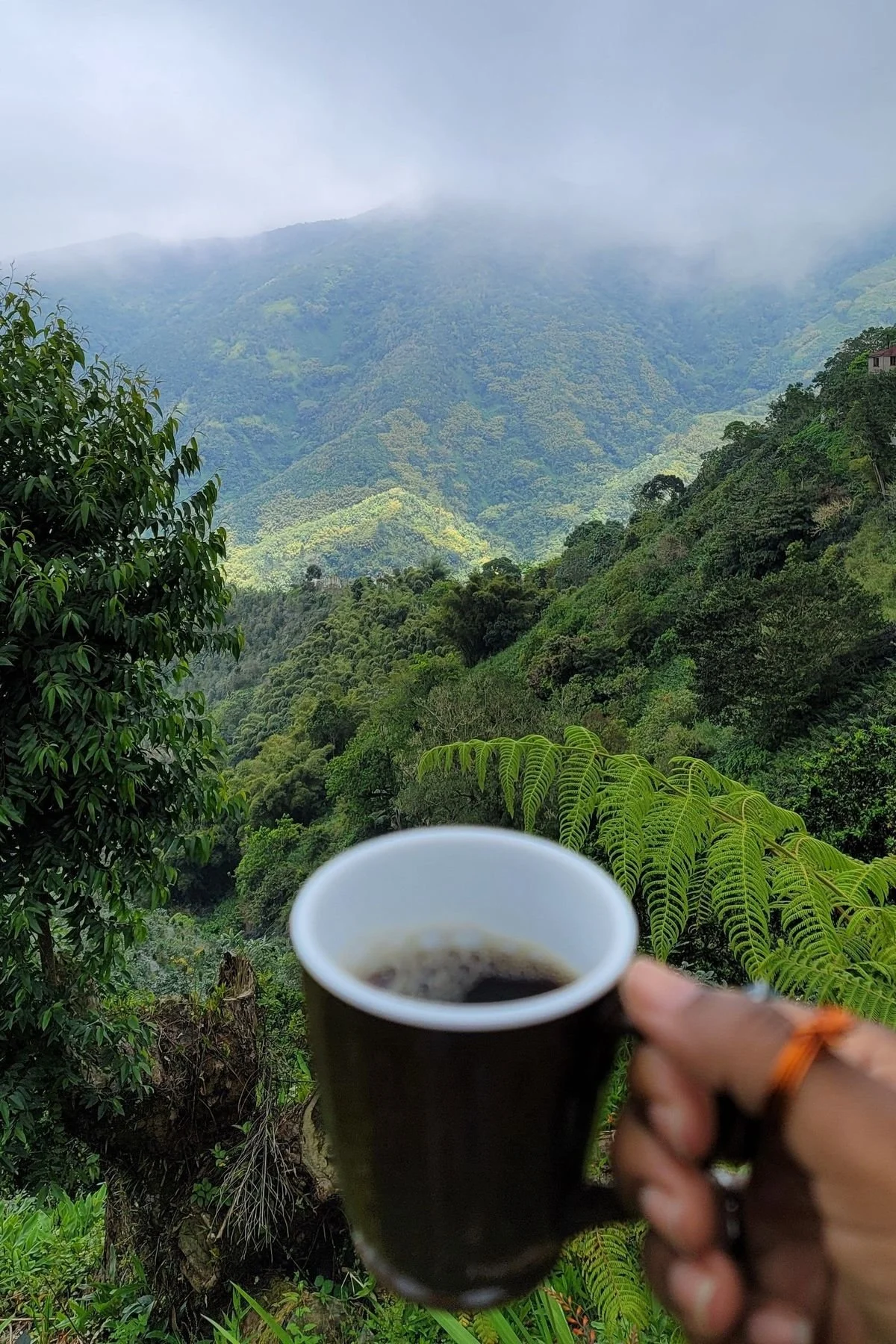 Person holding a small black cup of black coffee in front of a lush green mountain landscape with mist and clouds.