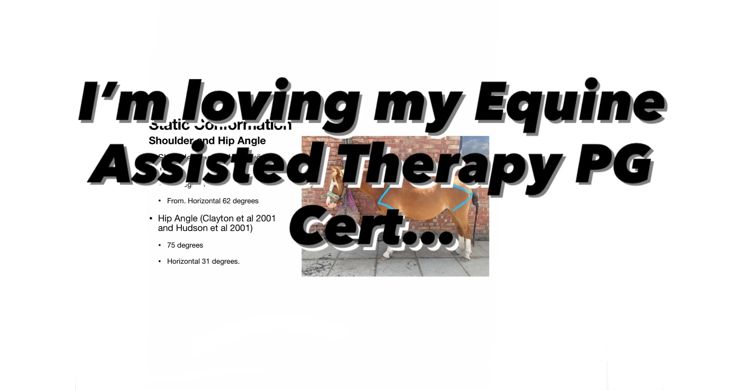 A New Chapter - Equine Assisted Therapy in Practice