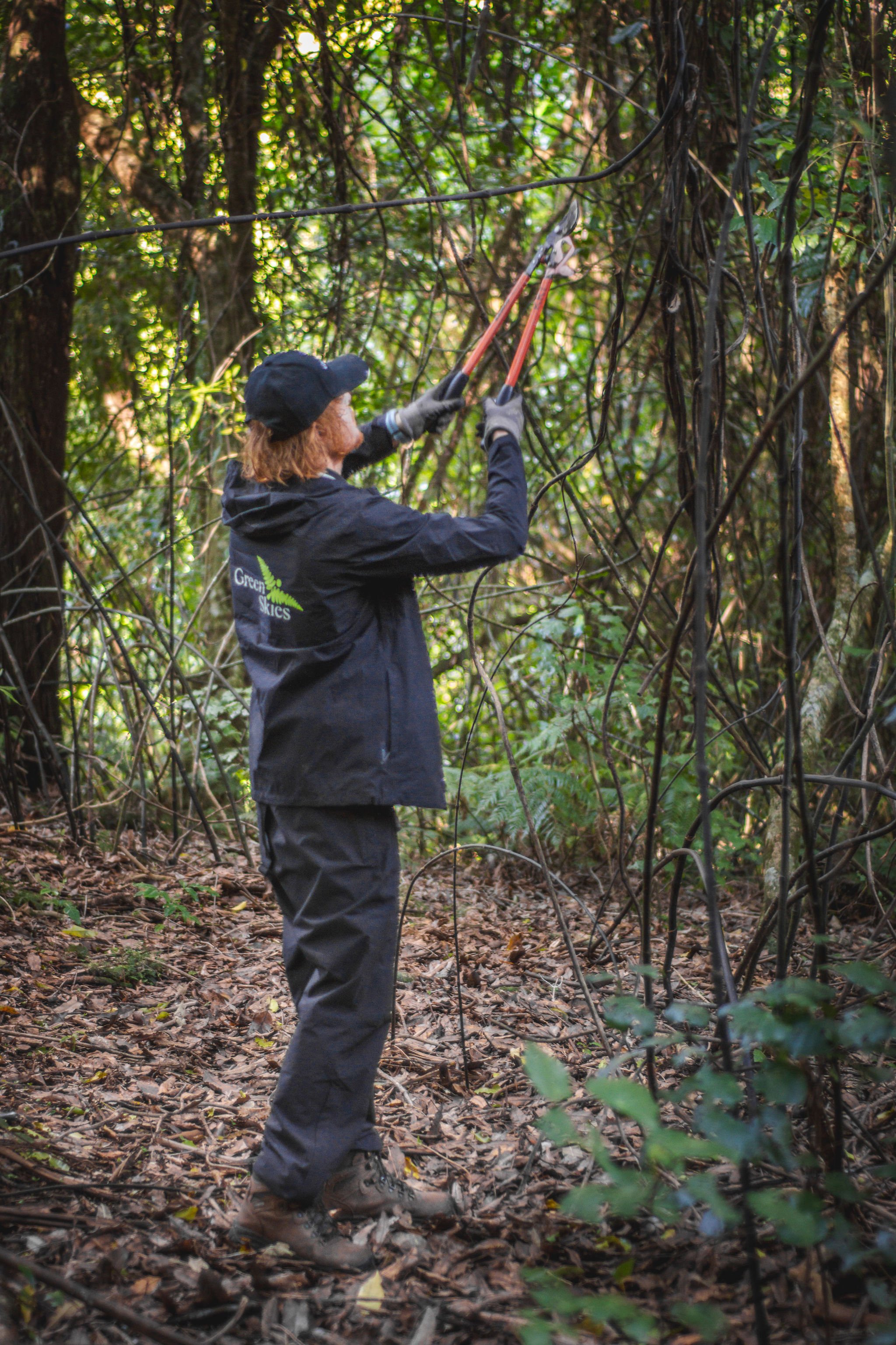 Maintenance, Auditing & Reporting