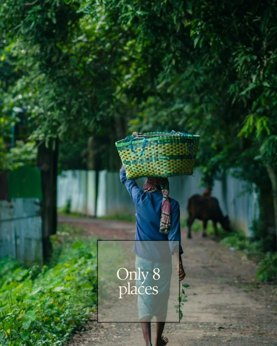 Only 8 spots. 10 nights. A journey into the living heart of India&rsquo;s oldest tribes.

Feel the pulse of a culture untouched by time and the serenity of places where few have walked.

Will you answer the call?

Book now to our January immersive re