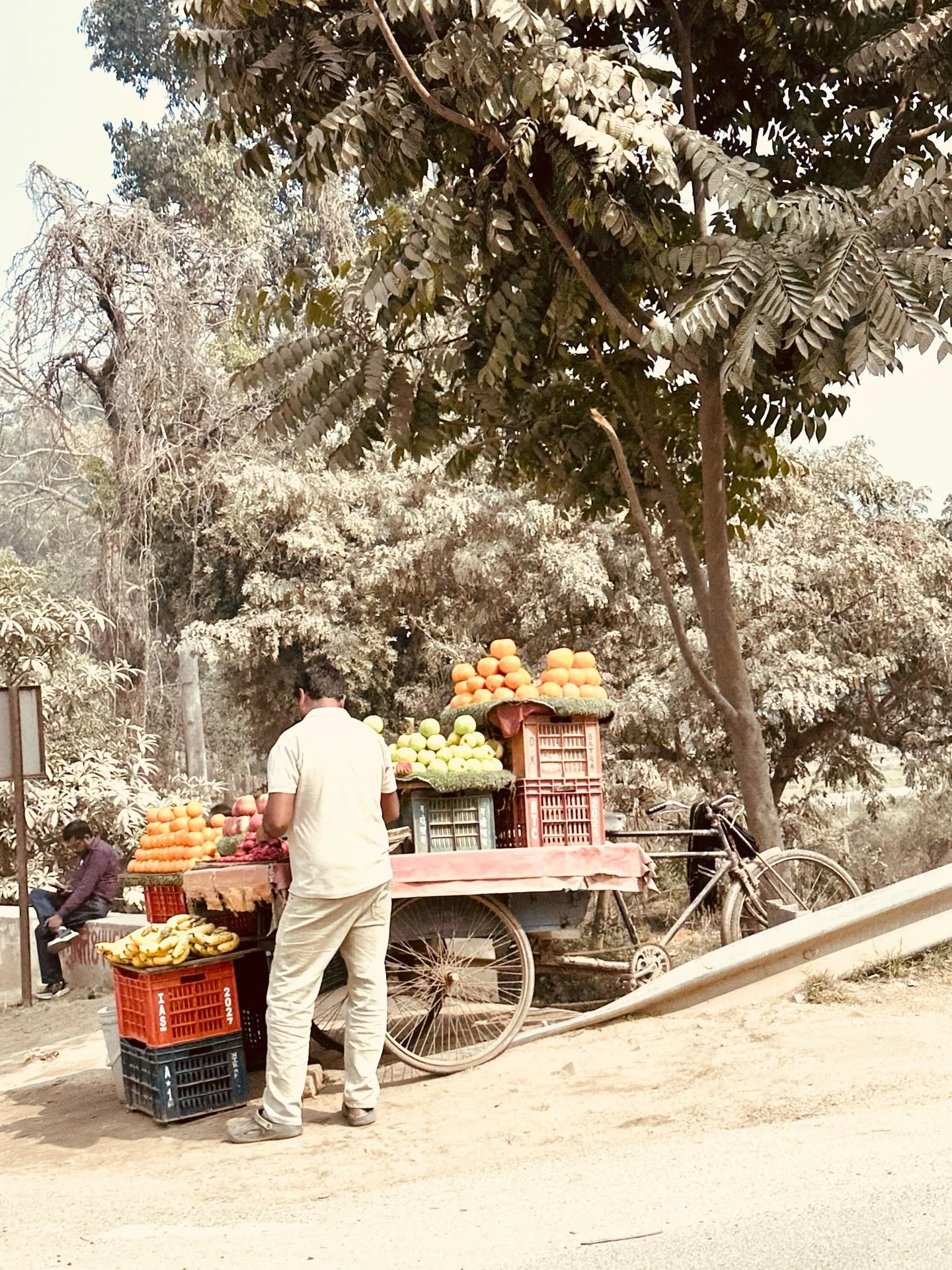 And so begins another Indian adventure. This one a sacred 14 nights of panchakarma, Pandits, initiations and teachings with two friends and our teacher of a decade. Almost 30 hours of travel so far as we make our way to the foothills of the Himalayas