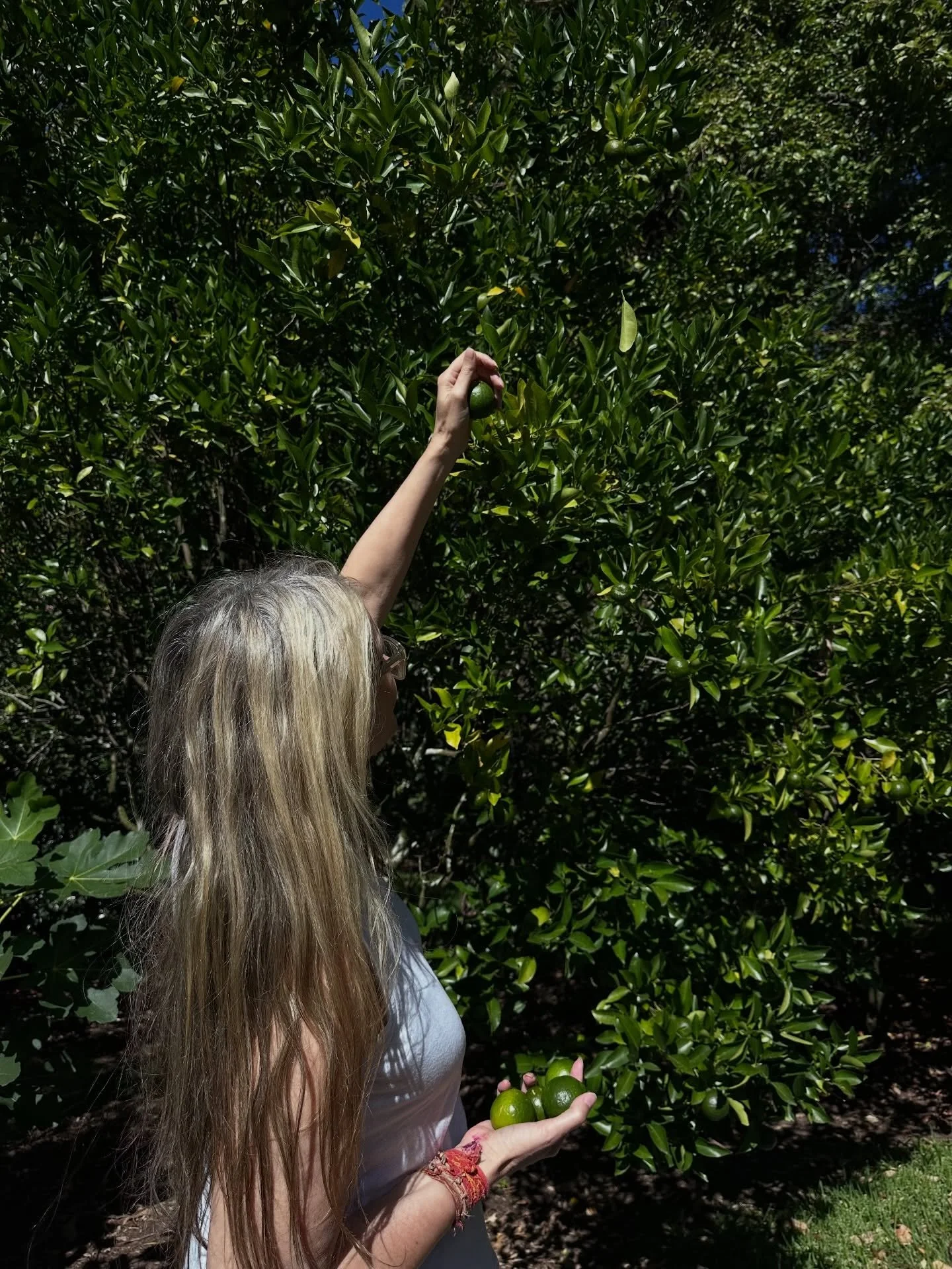 Last week the energies were intense. I turned 58 and spent one of the most fun and memorable days ever with loved ones. But the week also brought heaviness and a need to retreat. From noise, people, responsibilities. Eternally grateful for @antarahou