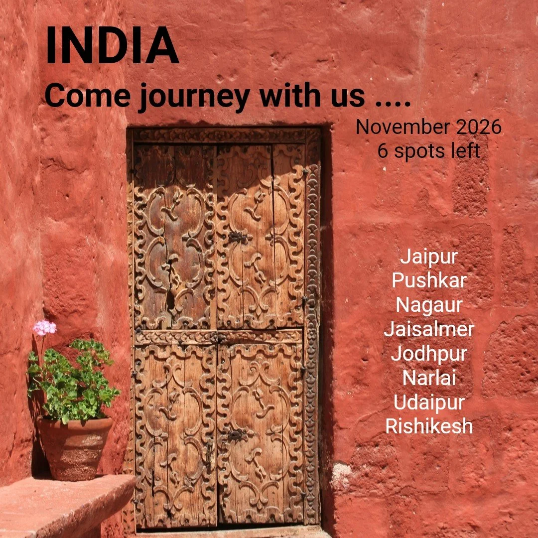 Imagine if a trip could be more than you could ever imagine....

Come join us for an adventure you will never forget xx

PS - link in bio for brochure, or DM me