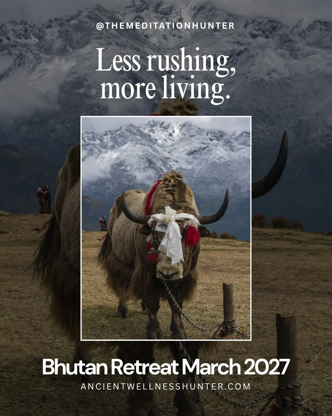 There are very few places left in the world that feel untouched by the noise.

Bhutan is one of them.

A tiny Himalayan kingdom where ancient traditions are still woven into everyday life, prayer flags dance in the mountain winds, and Gross National 