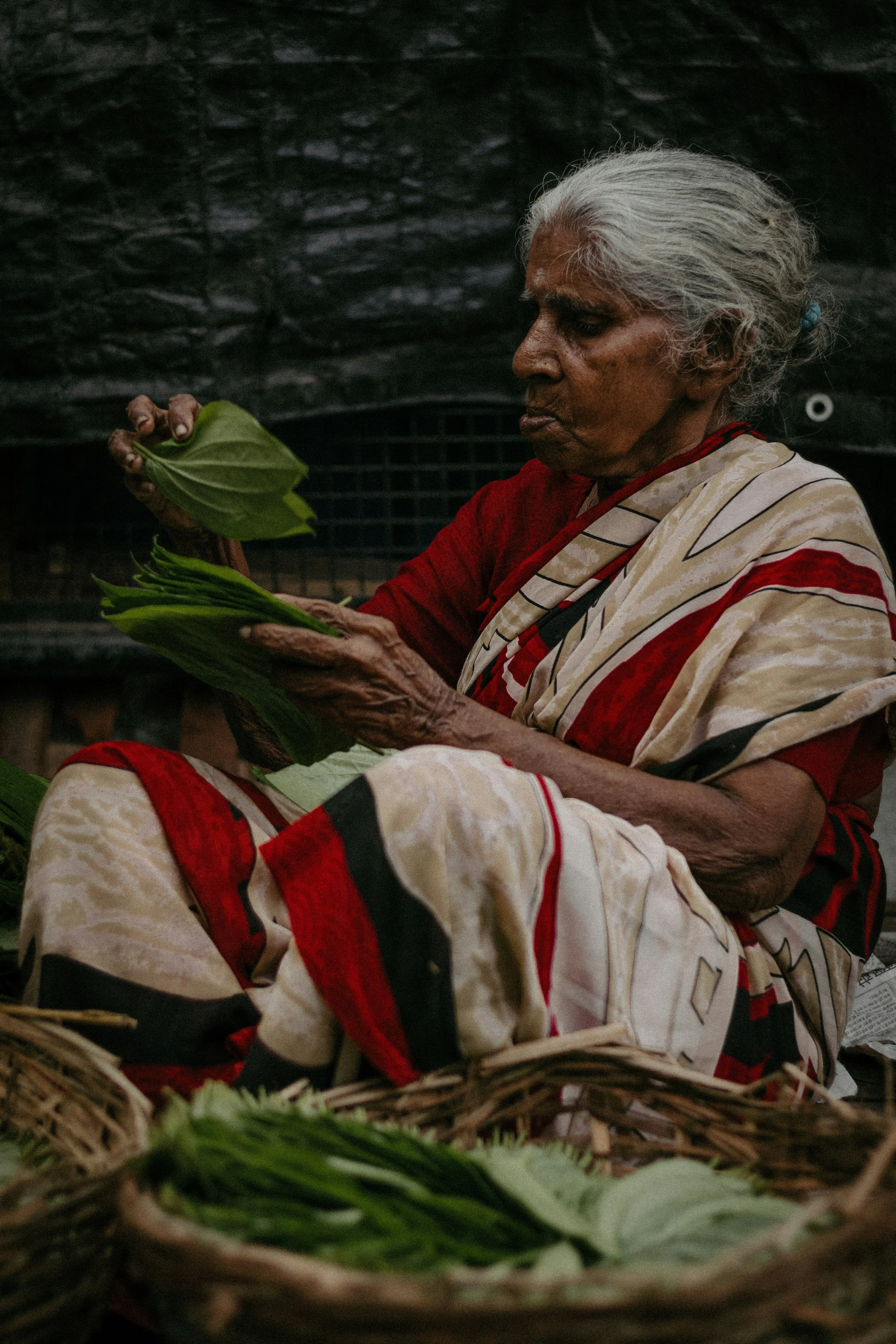 dineshkumar-m-l__skskwwpc-unsplash.jpg