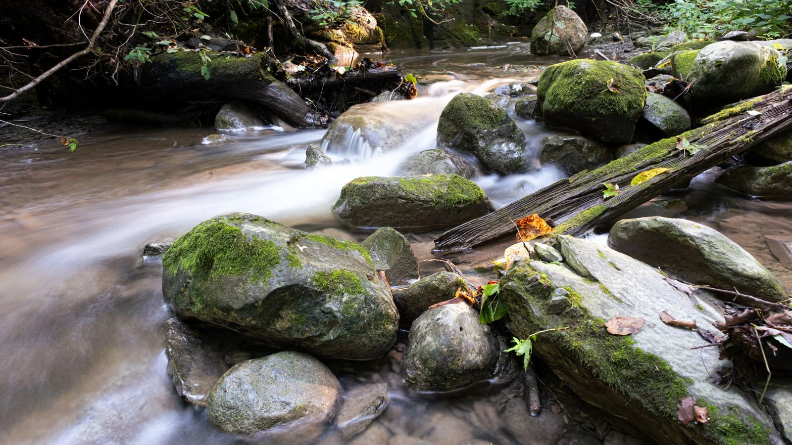 DSCF9715.jpg