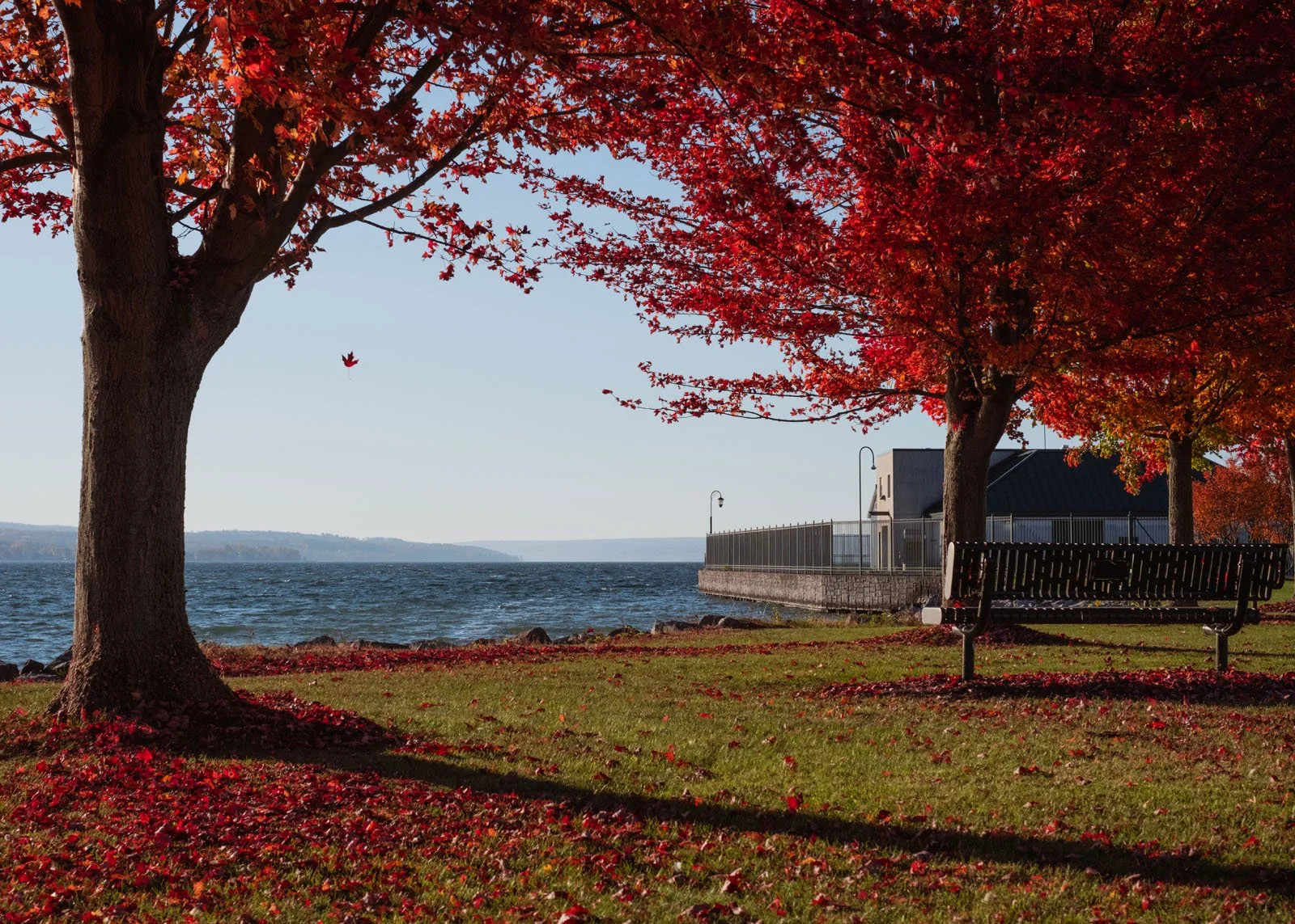 Owasco Lake from Emerson Park (A Leaf Falls).jpg