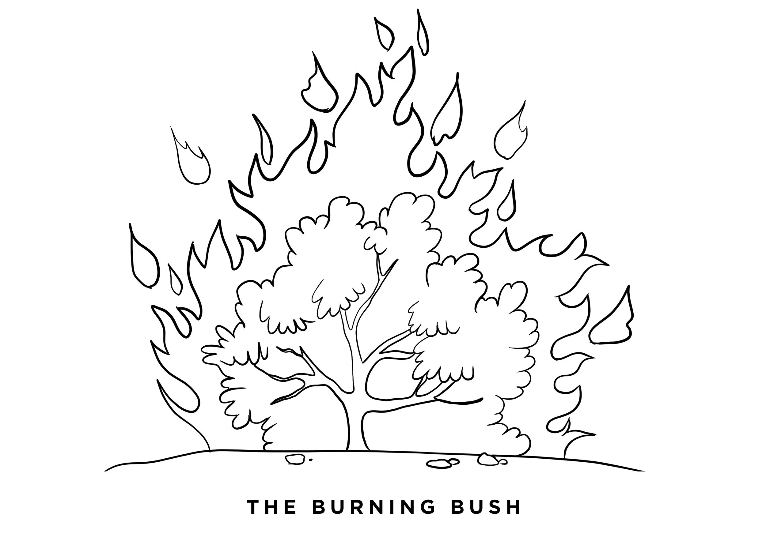 image_original (2).jpeg