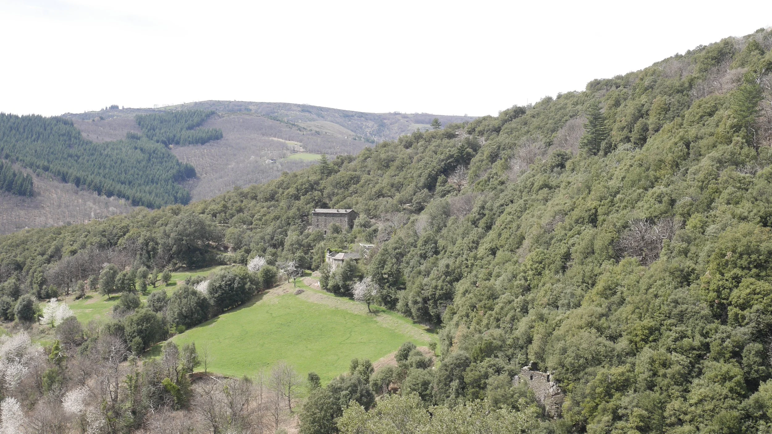 Paysage de montagne avec forêt dense, quelques maisons en pierre visibles, terrain verdoyant, et collines en arrière-plan.
