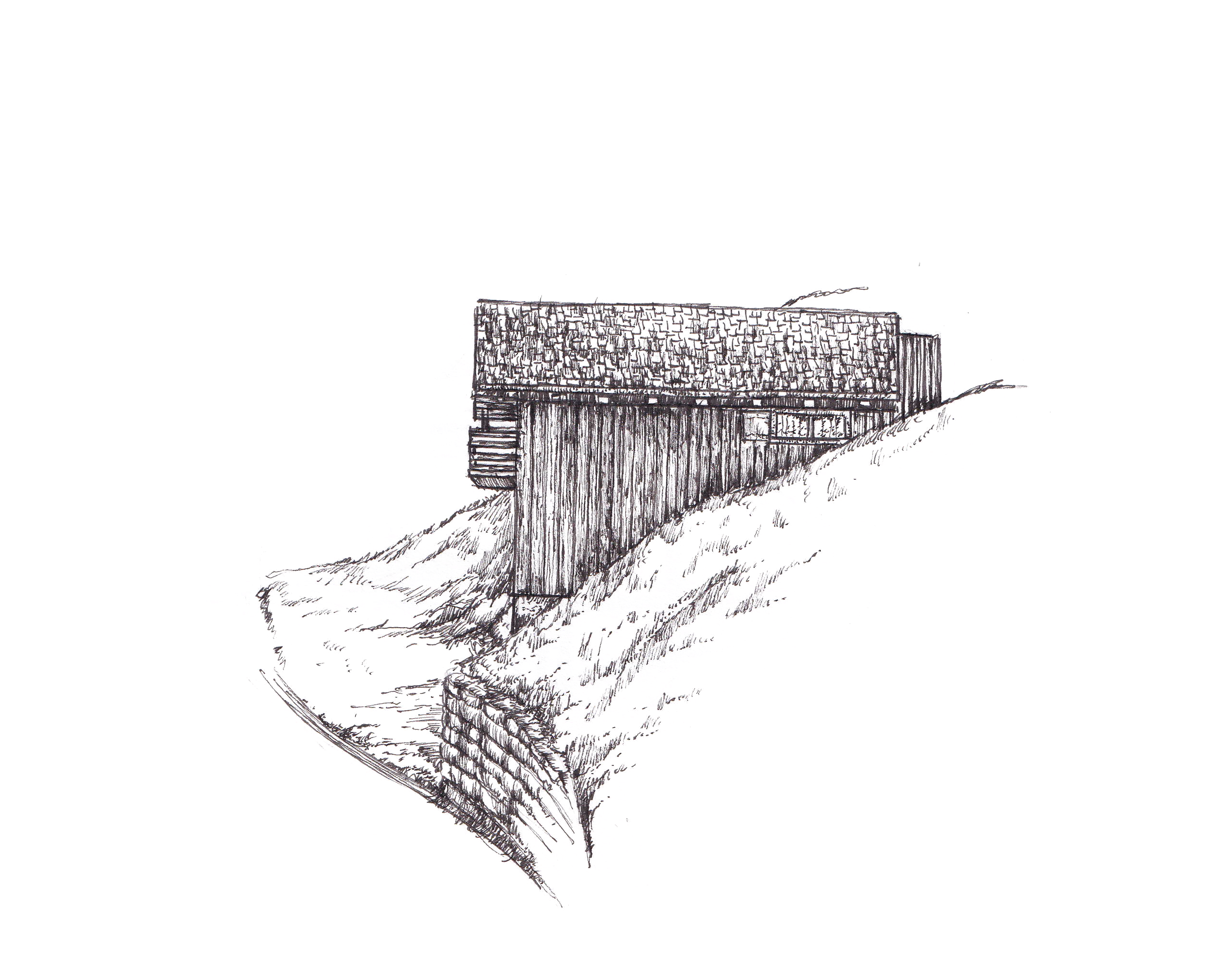 scan+31.png