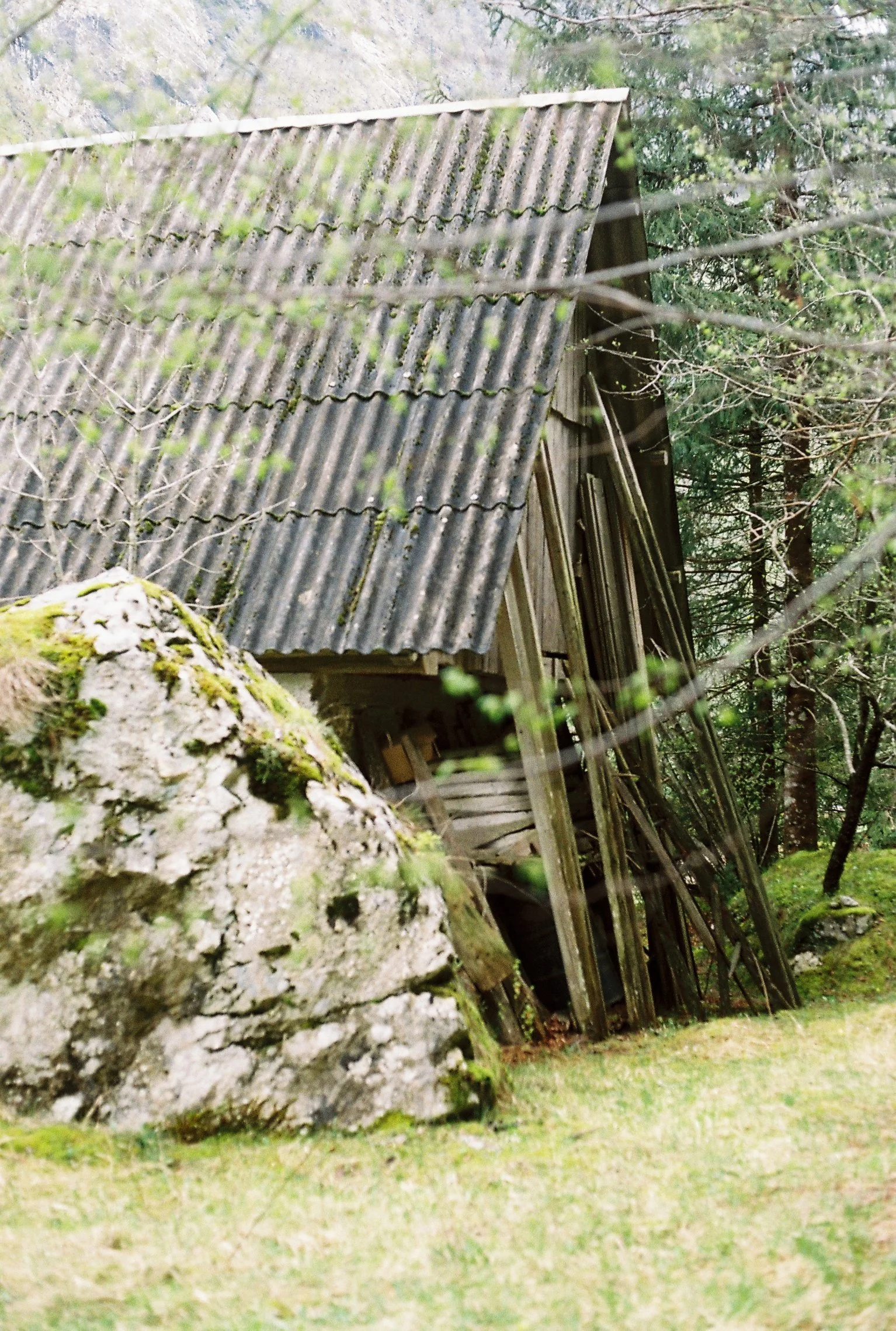 Une petite cabane en bois avec un toit en tuiles, inclinée au sein d'une forêt, entourée de rochers et d'arbres.