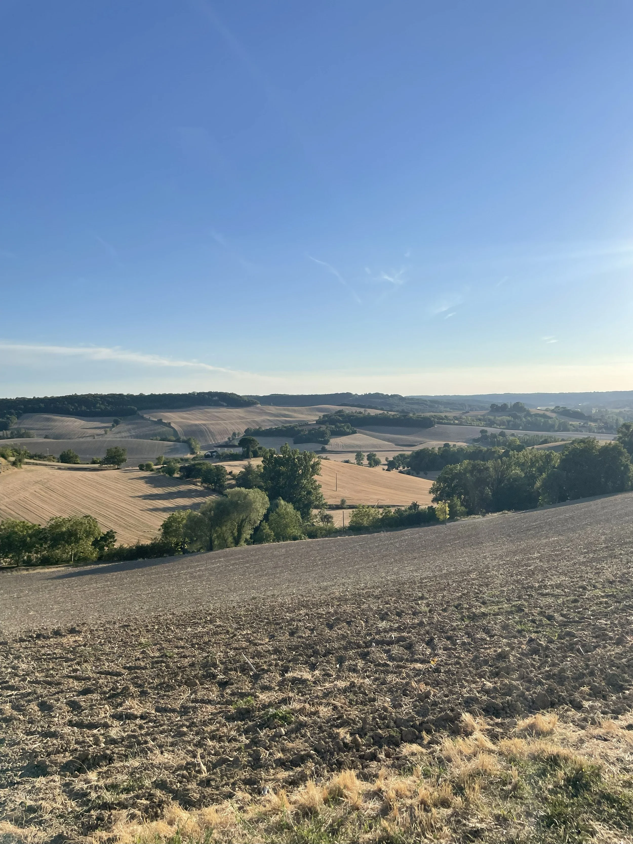 Paysage rural avec des champs cultivés et des arbres sous un ciel bleu clair.