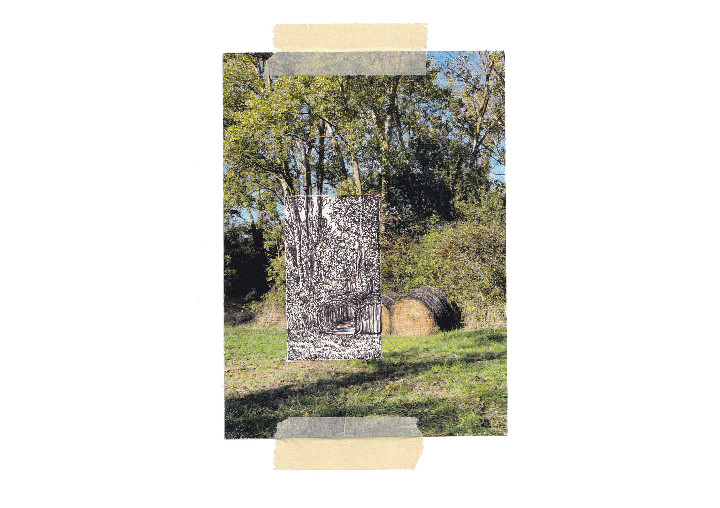 collage site 2.png