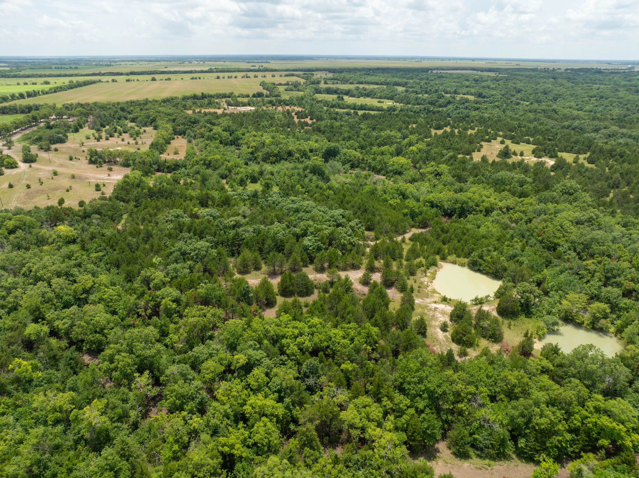 DJI_0233.jpg