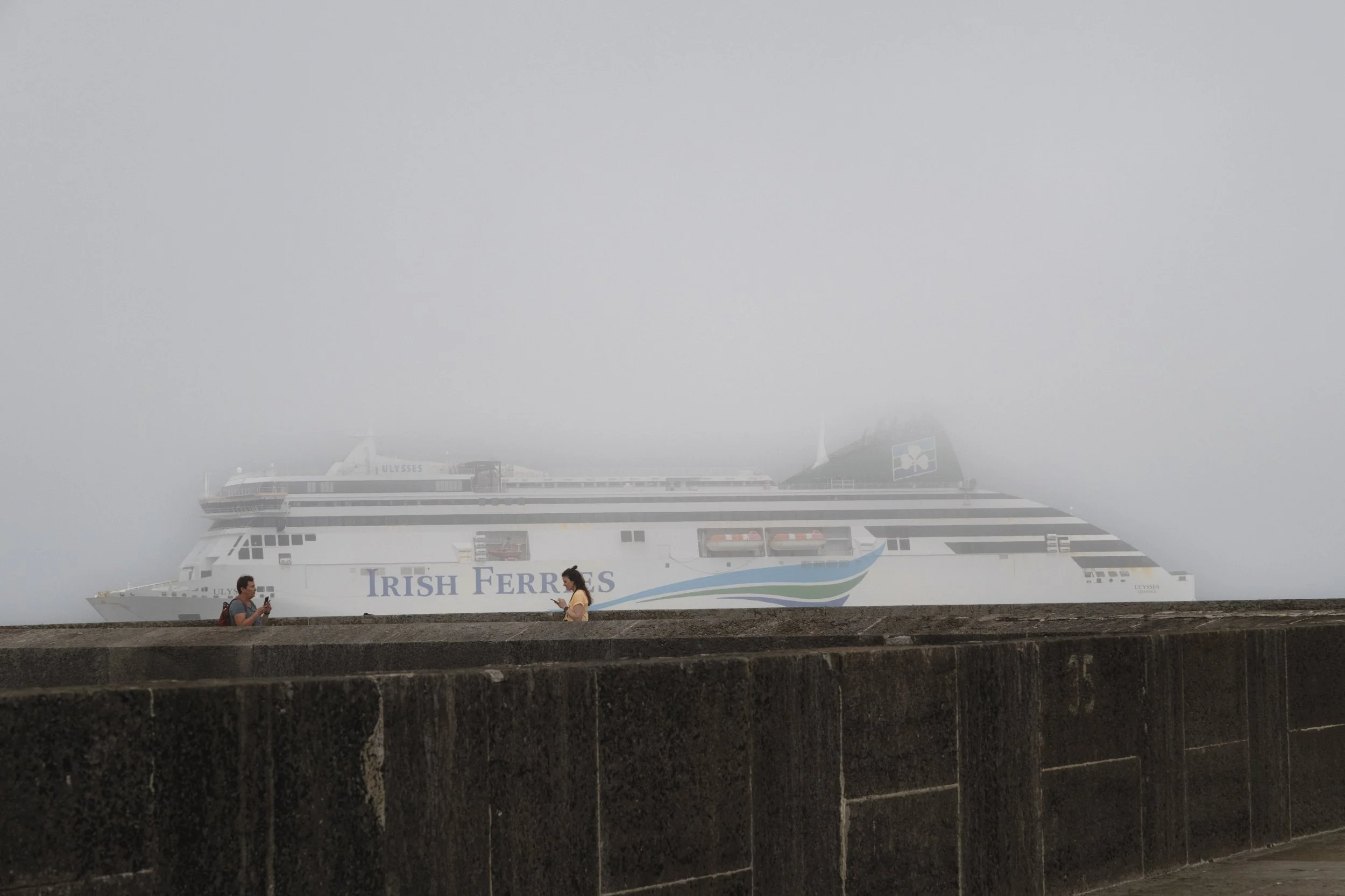 DSCF5095.jpg
