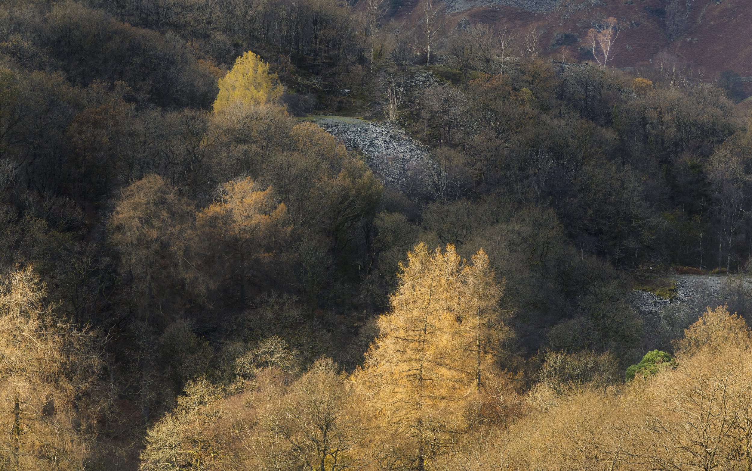 DSC08183.jpg
