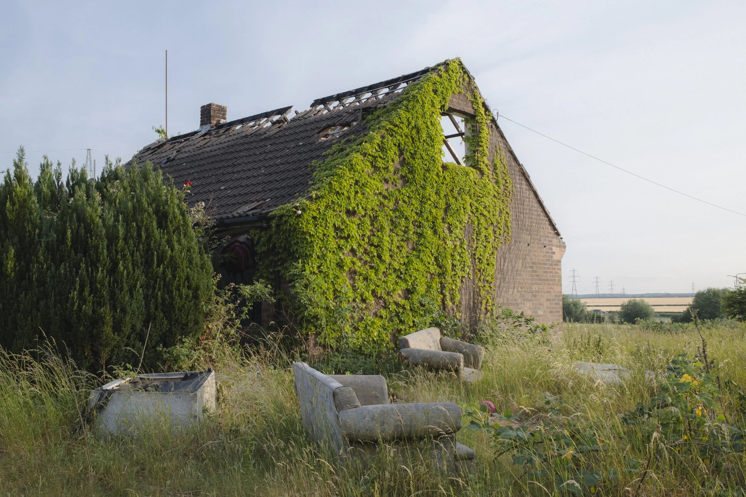 _DSF0864.jpg
