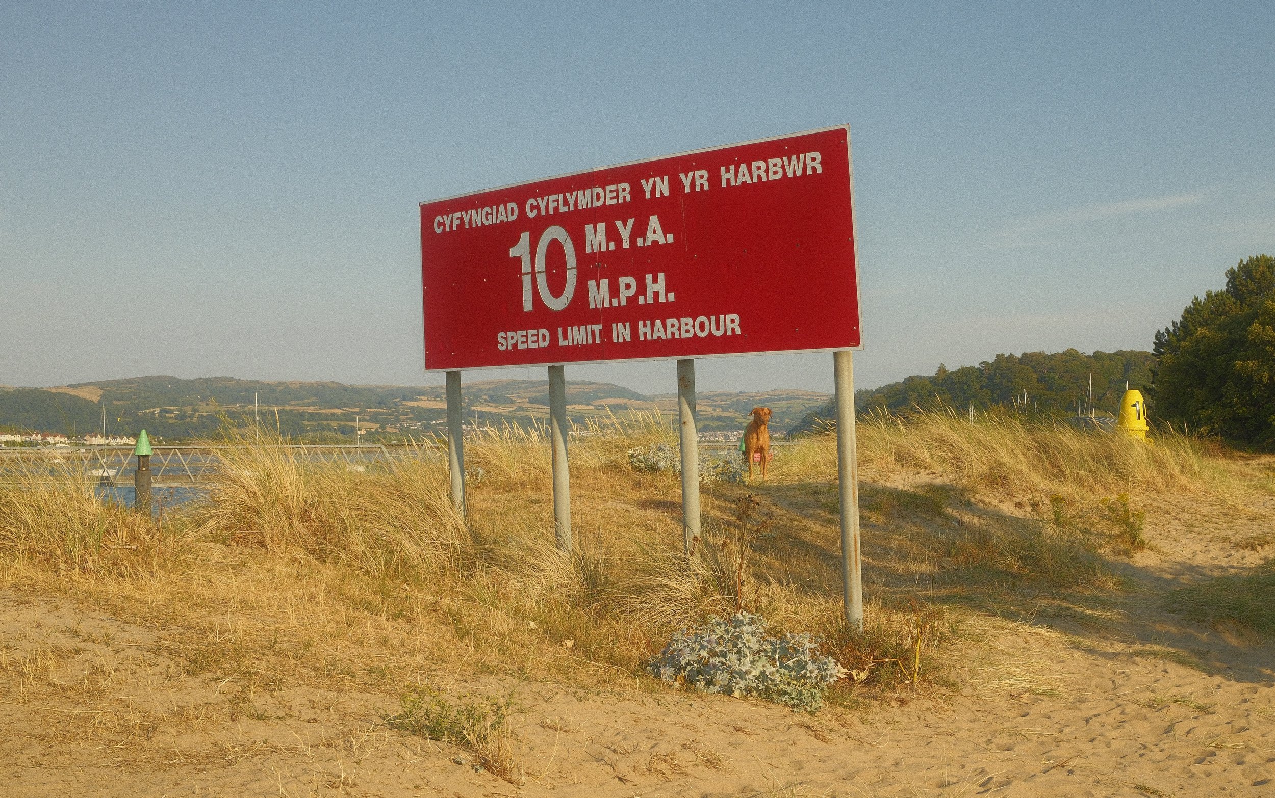 _DSF8986.jpg