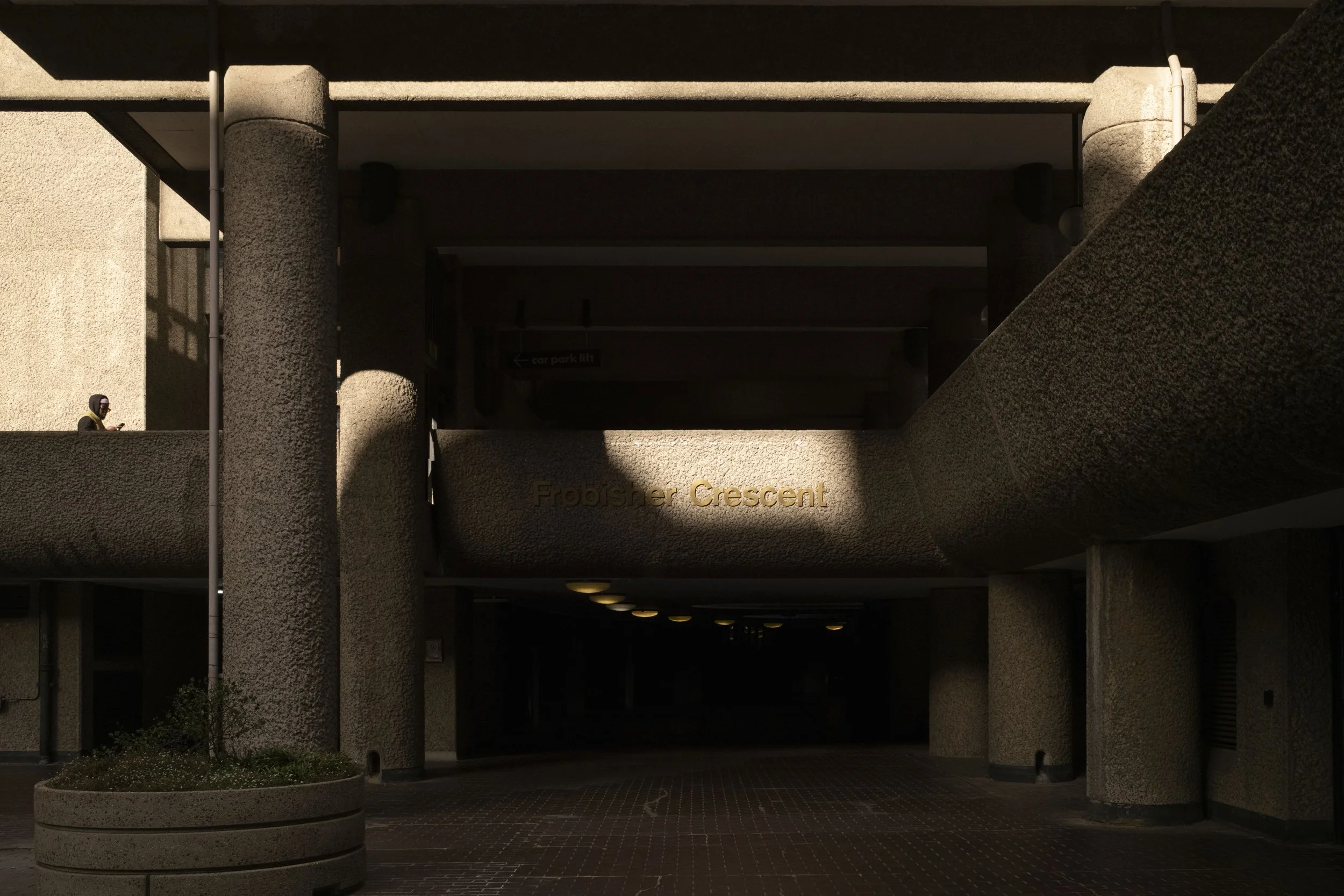 _DSF0499.jpg