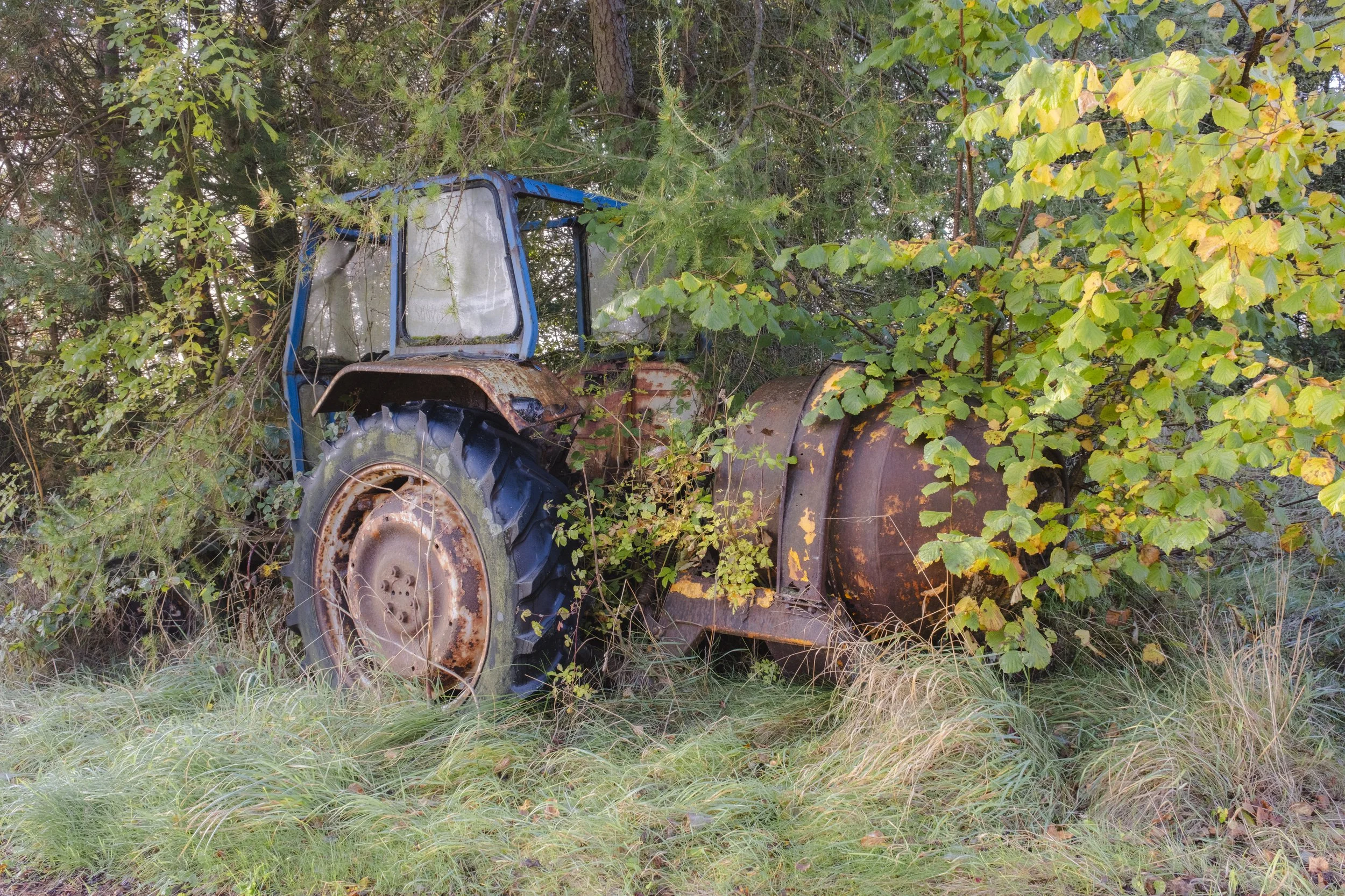 DSCF1454.jpg