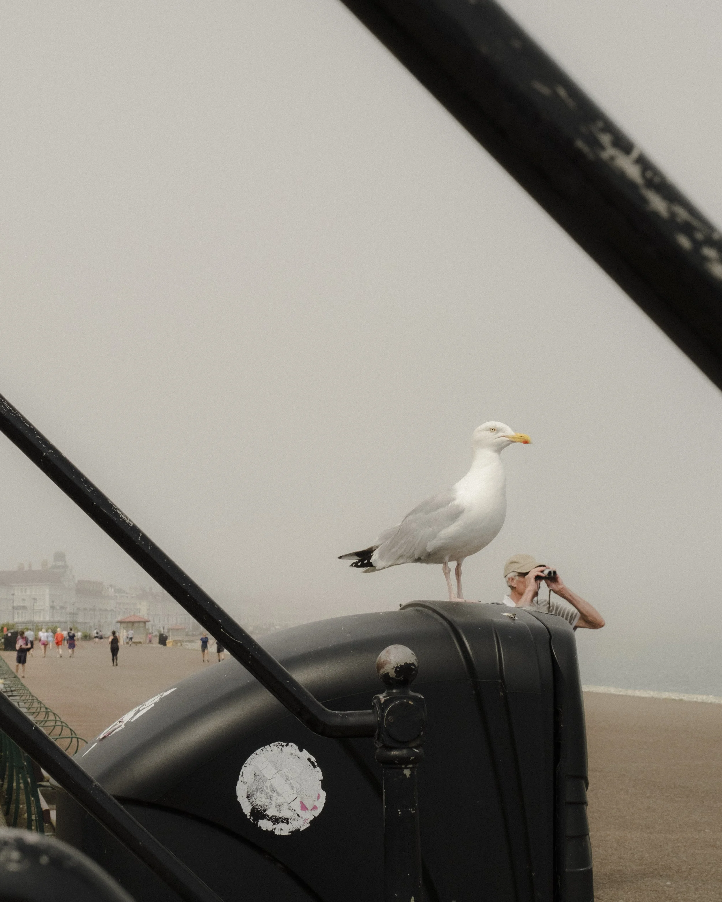 DSCF5251.jpg