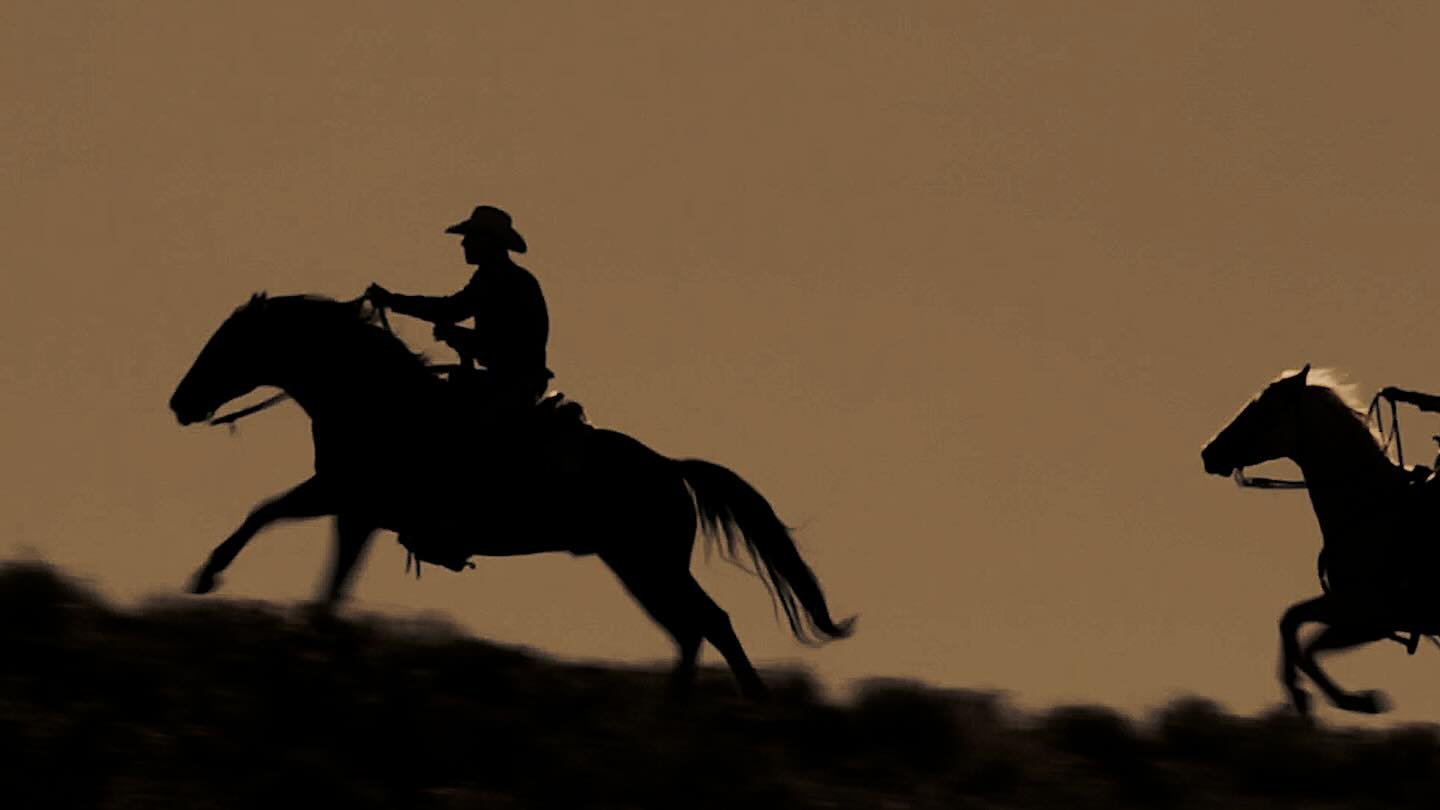 𝚁𝚒𝚍𝚒𝚗&rsquo; 𝚝𝚑𝚛𝚞 𝚝𝚑𝚎 𝚠𝚎𝚎𝚔𝚎𝚗𝚍 𝚕𝚒𝚔𝚎 𝚊𝚗 𝙰𝚕𝚎𝚡 𝙶𝚑𝚎𝚗𝚝 𝚑𝚘𝚛𝚜𝚎 𝚍𝚞𝚛𝚒𝚗𝚐 𝚝𝚑𝚎 𝚆𝚒𝚕𝚌𝚘𝚡 𝚃𝚛𝚊𝚒𝚗 𝚁𝚘𝚋𝚋𝚎𝚛𝚢 &mdash; 𝚜𝚙𝚞𝚛𝚛𝚒𝚗𝚐 𝚝𝚑𝚎 𝚕𝚊𝚛𝚐𝚎𝚜𝚝 𝚖𝚊𝚗𝚑𝚞𝚗𝚝 𝚒𝚗 𝚆𝚢𝚘𝚖𝚒𝚗𝚐 𝚑𝚒𝚜𝚝𝚘𝚛𝚢 