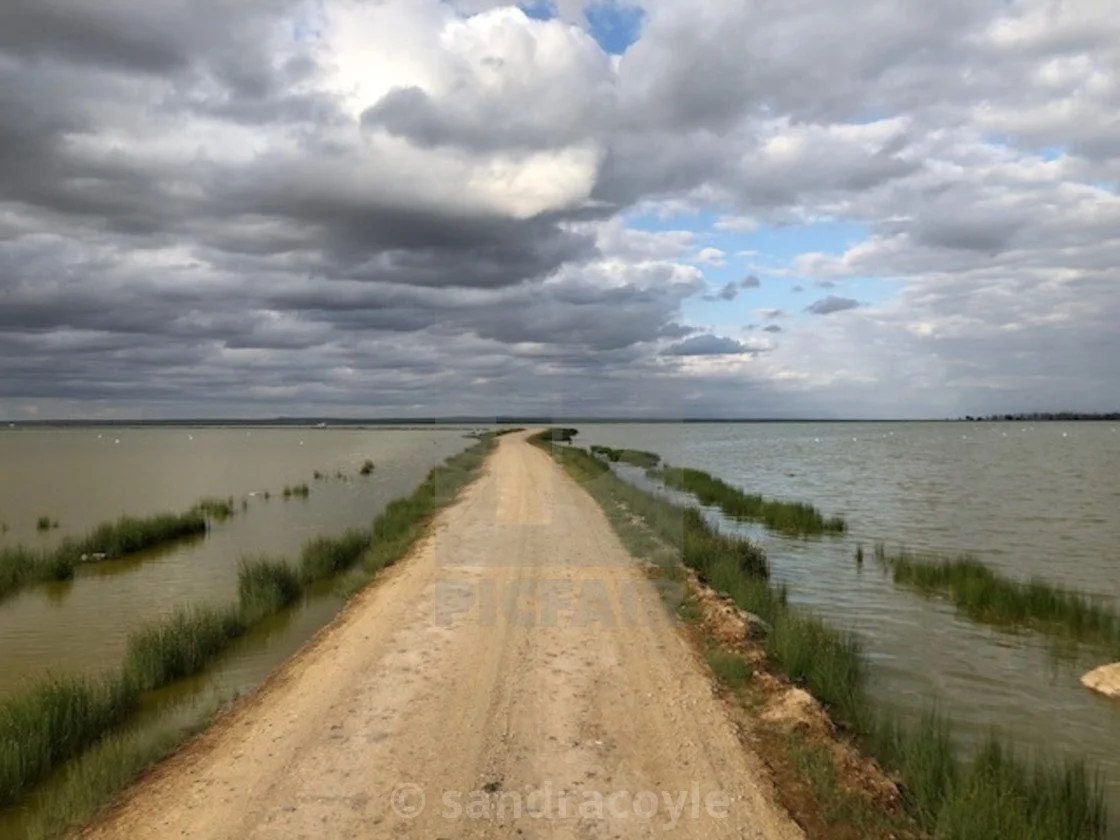 Amboseli-road.jpg
