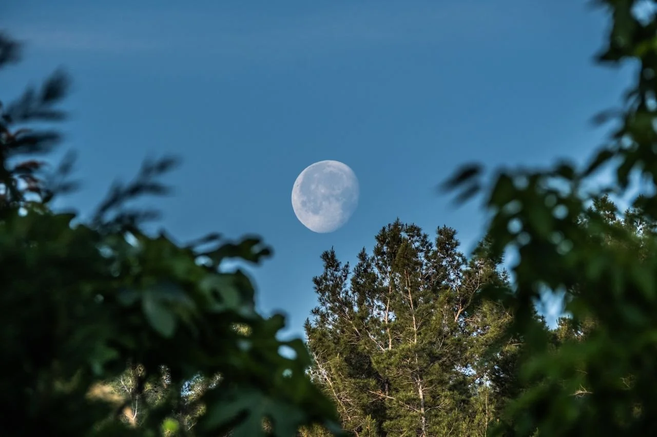 The Moon Paradox | Sandra Coyle Advisory