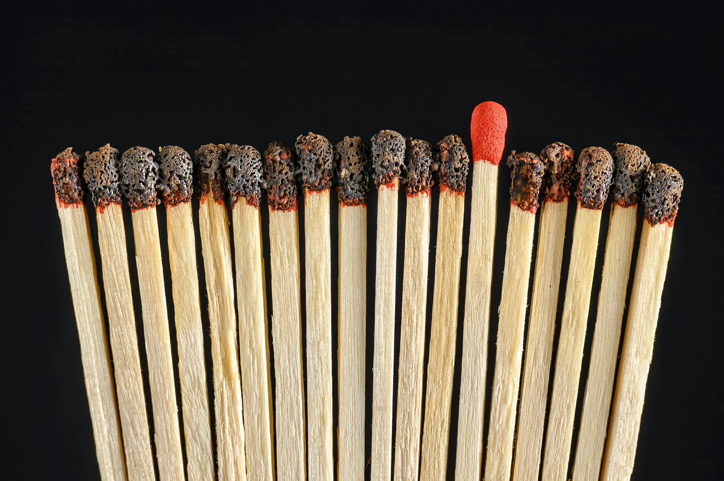 The Leadership Bottleneck | Sandra Coyle Advisory