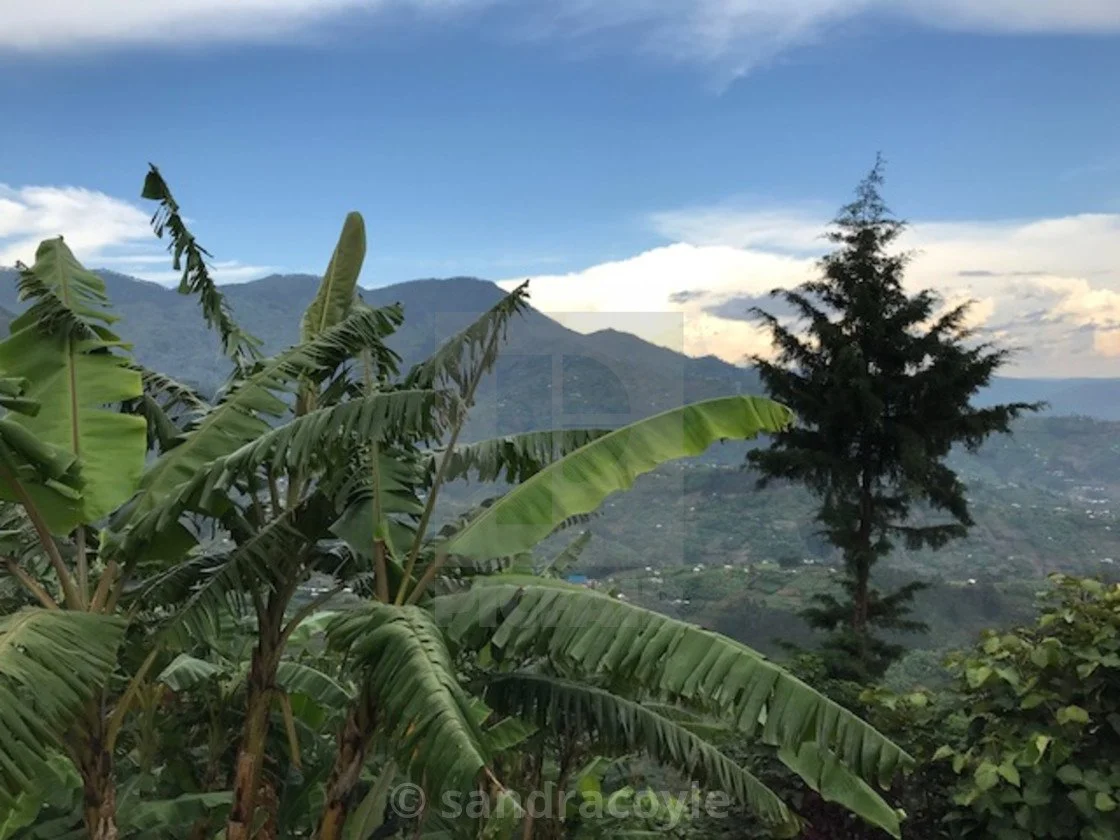 Rwanda-hills.jpg