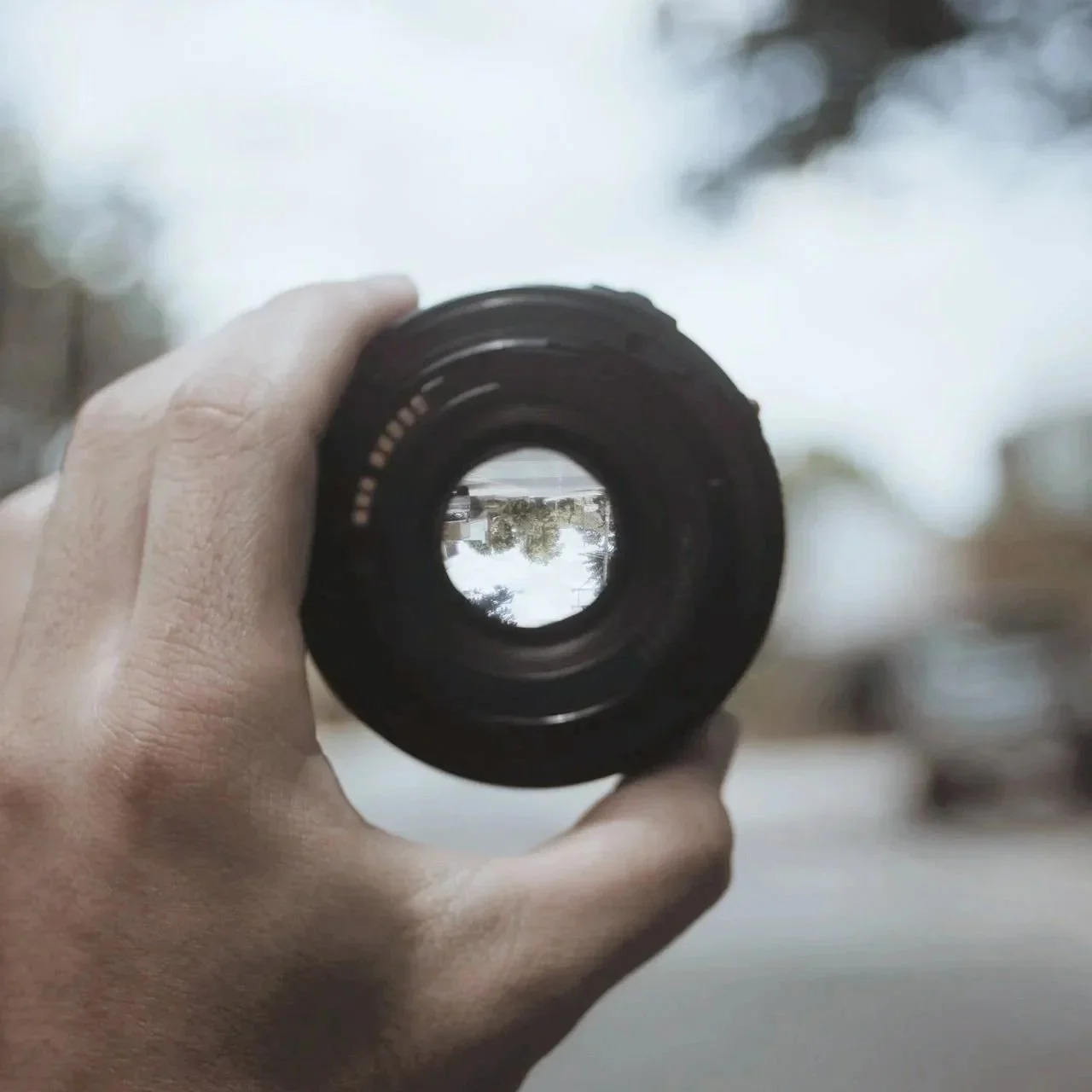 Perception vs. Market Reality | Sandra Coyle Advisory
