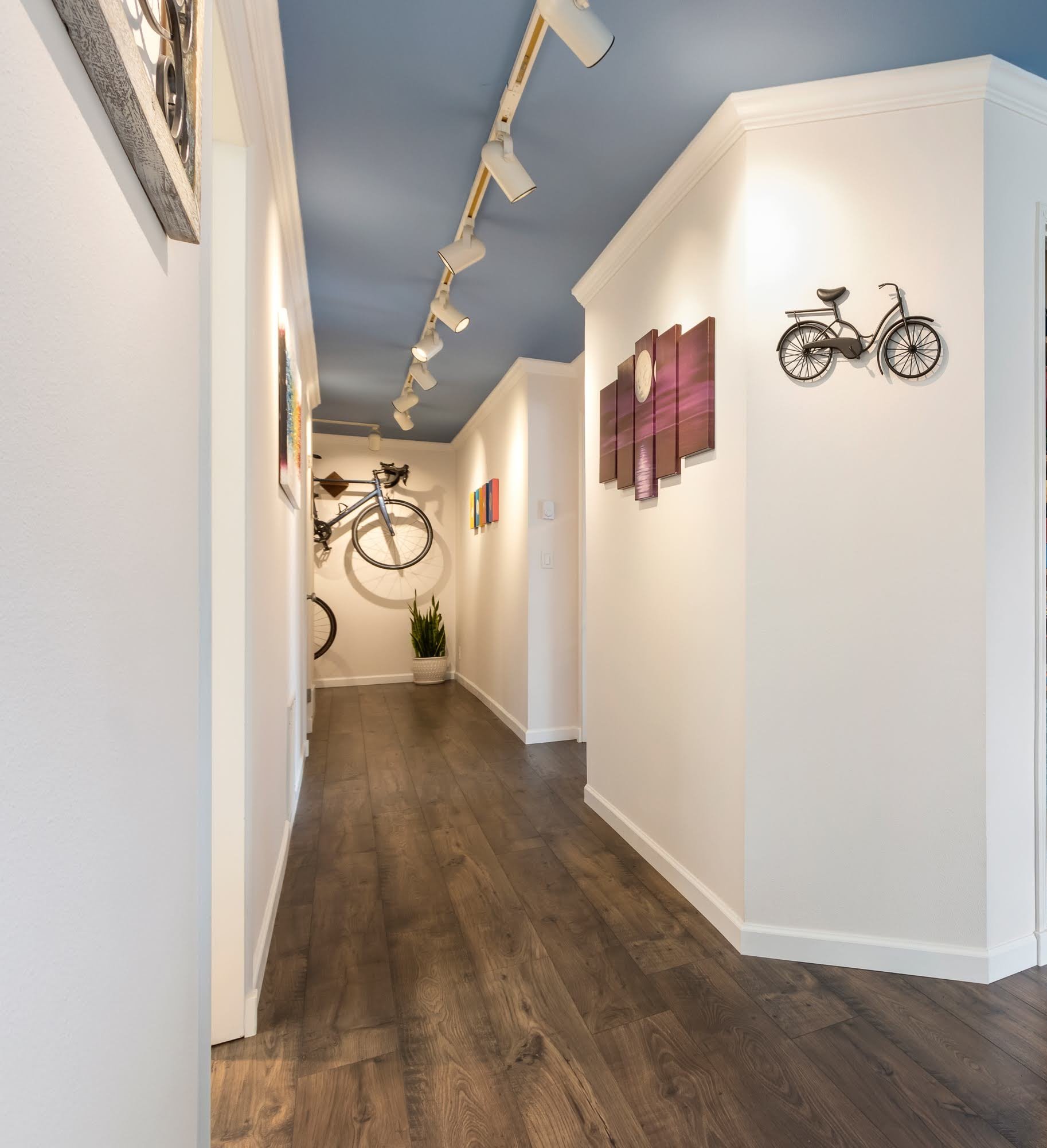 Hallway with white walls, dark wooden floors, blue ceiling, track lighting, and decorative wall art including a bicycle and paintings. A bicycle is mounted on the far wall, with a potted plant underneath.