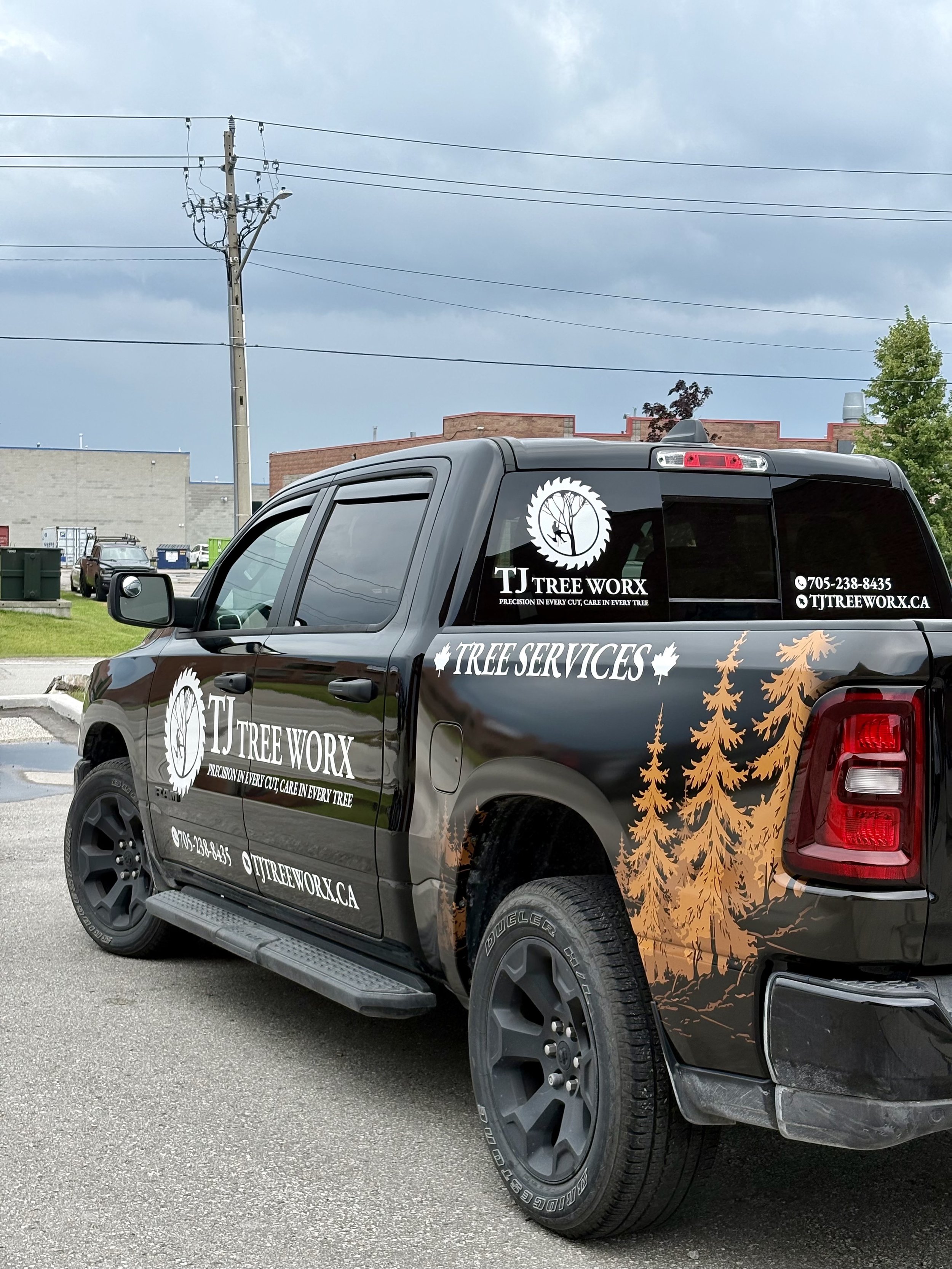 TJ Tree Worx in Orillia, Oro-Medonte, Coldwater and Midland