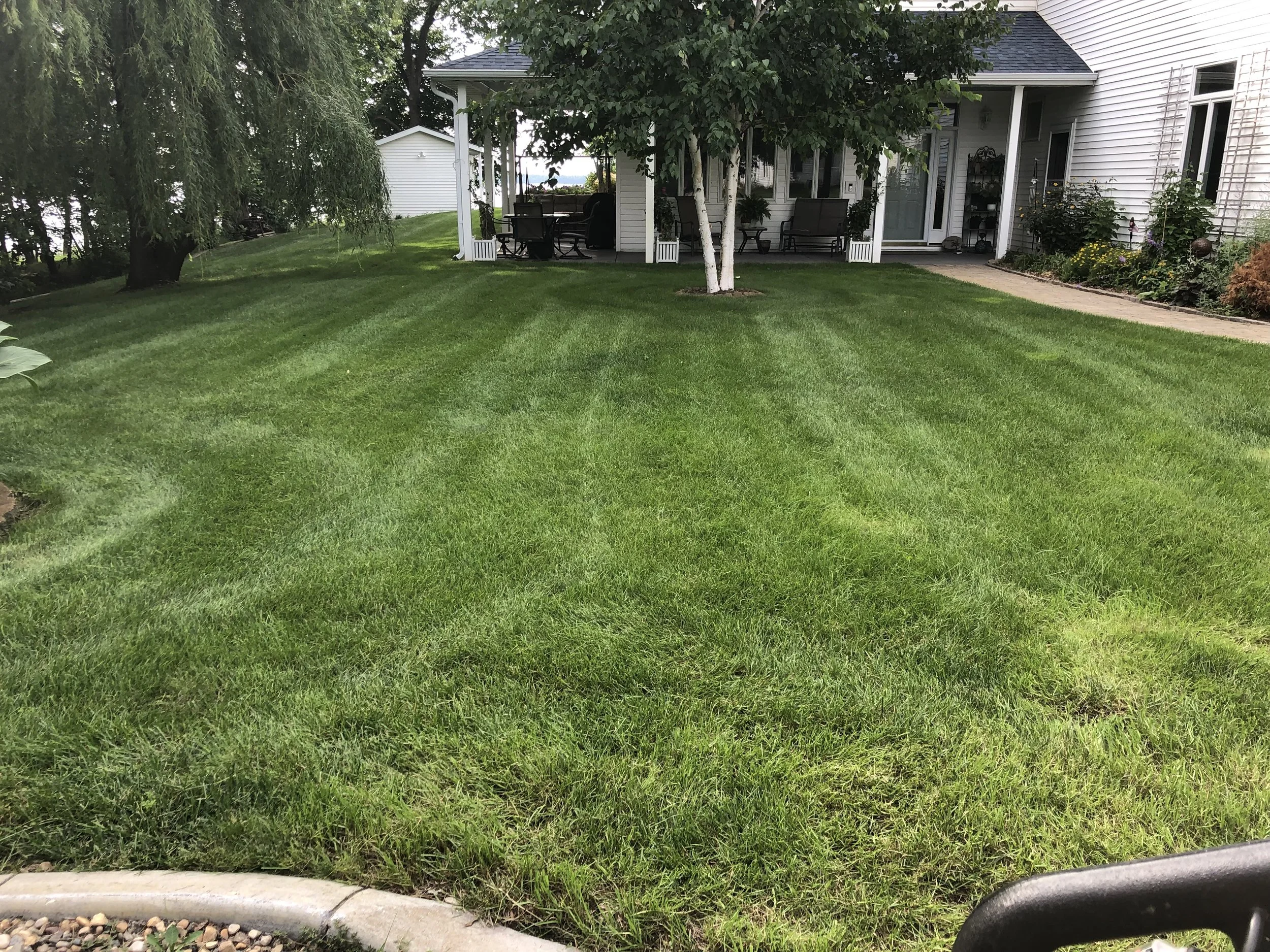 Well-maintained green lawn with stripes in front of a white house with a porch, trees, and garden plants.