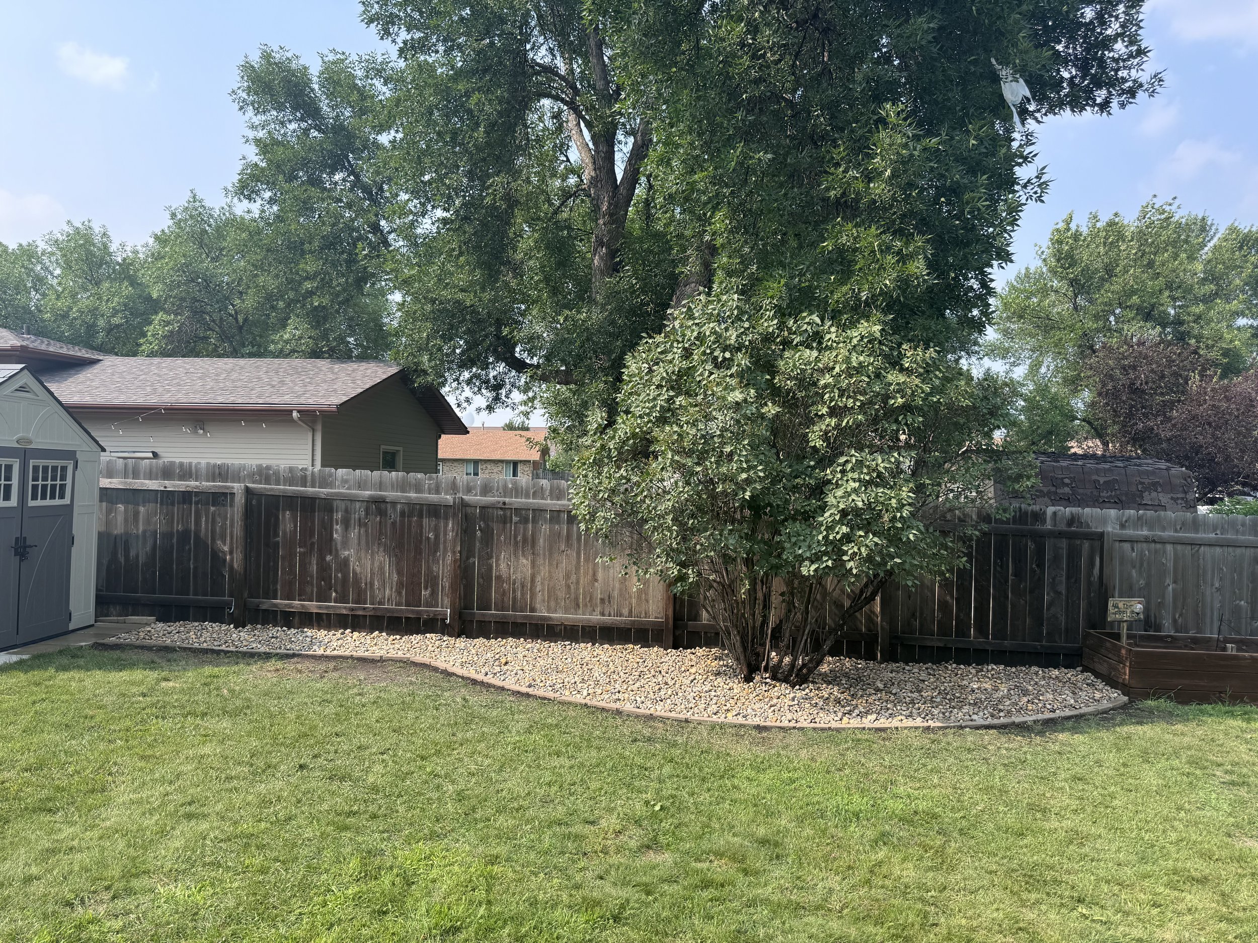Backyard with a large tree, a wooden fence, a small shed, and a rock landscaped area.